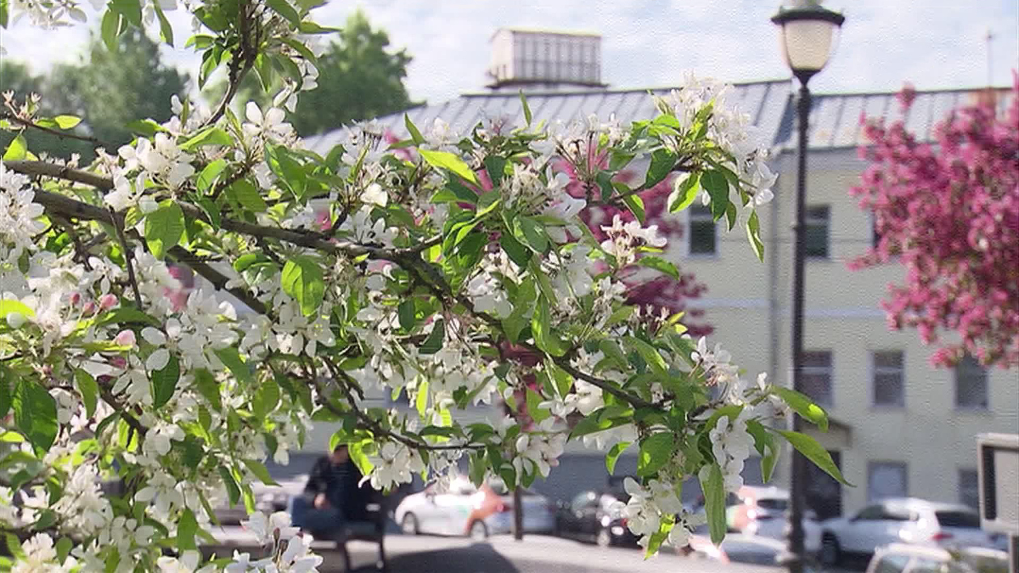 Теплая аномалия: Россия может попасть под влияние Эль-Ниньо