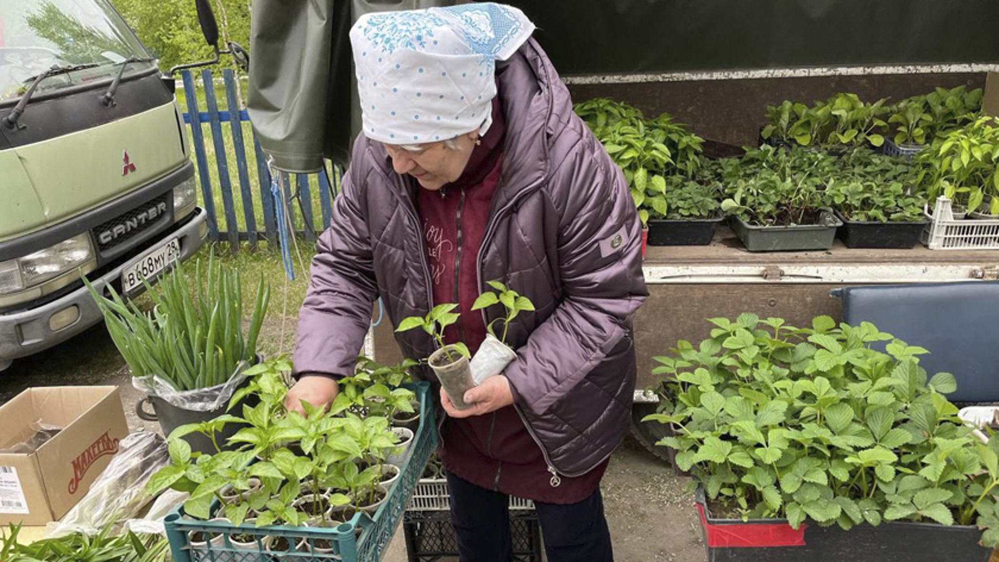 Казачья сельскохозяйственная ярмарка состоялась в селе Грибское