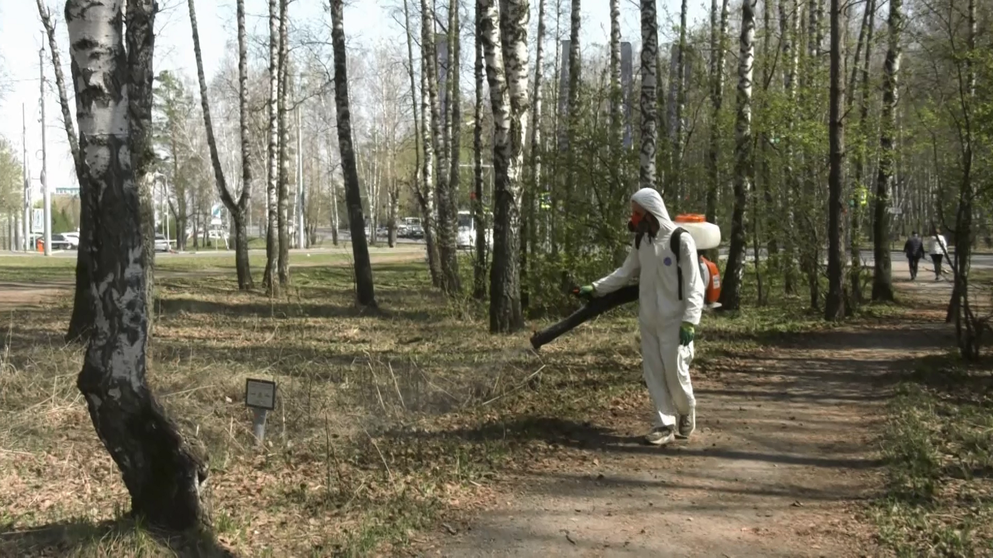 Остров Татышев начали обрабатывать специальными средствами