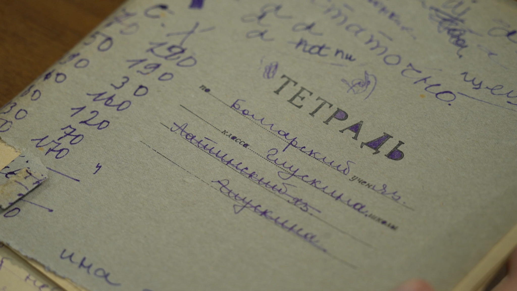 Пережила блокаду, диссертацию защитила в 1949-м. Воспоминания учеников лингвиста Софьи Глускиной