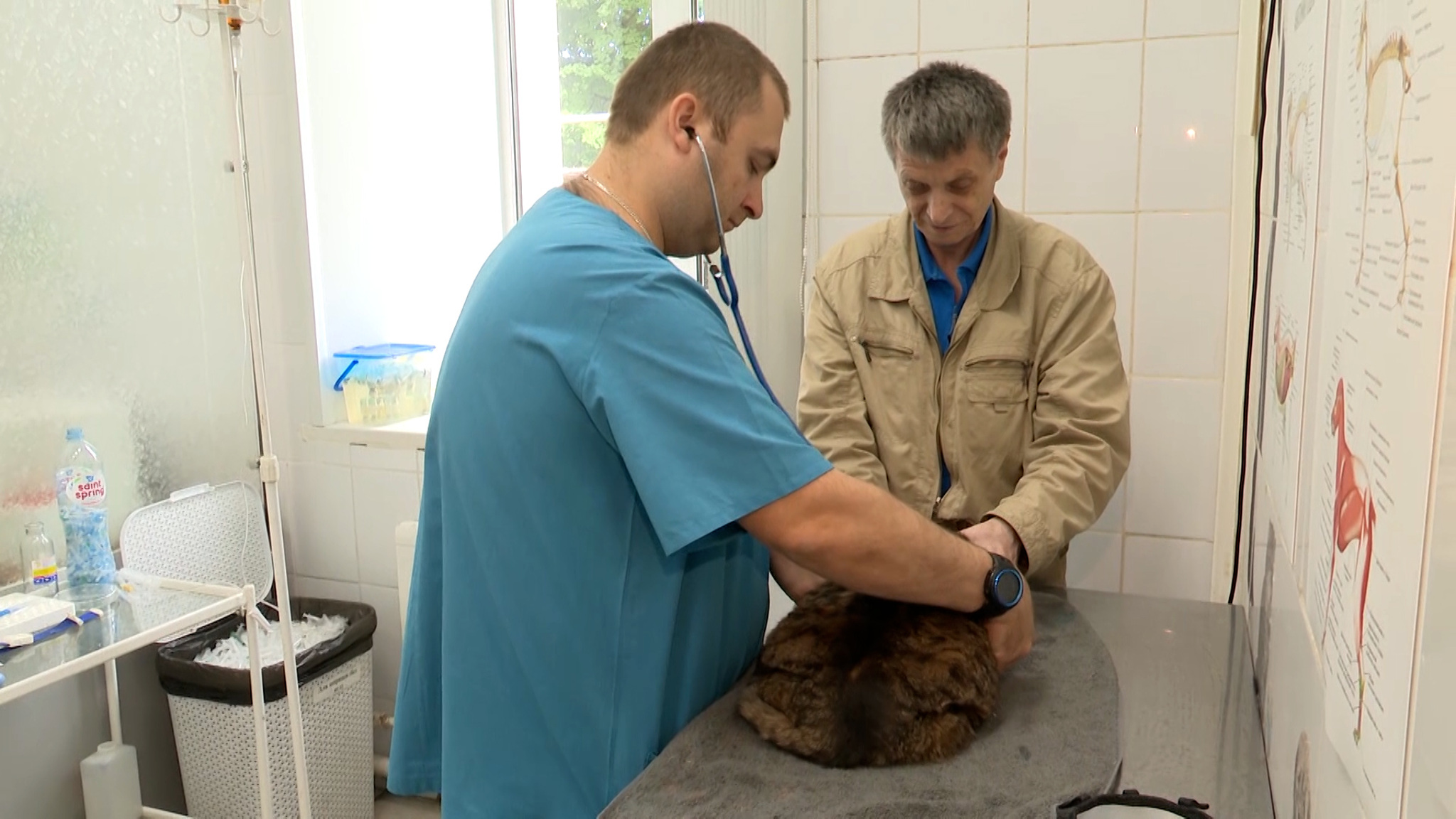 Ульяновские ветеринары повышают квалификацию