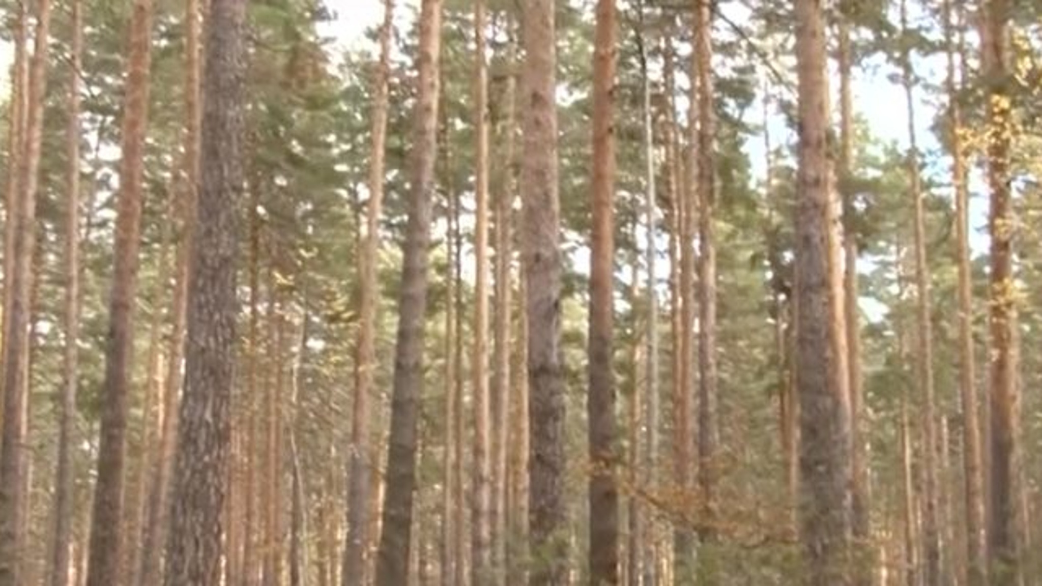 В Саратовской области планируется создать сеть заказников