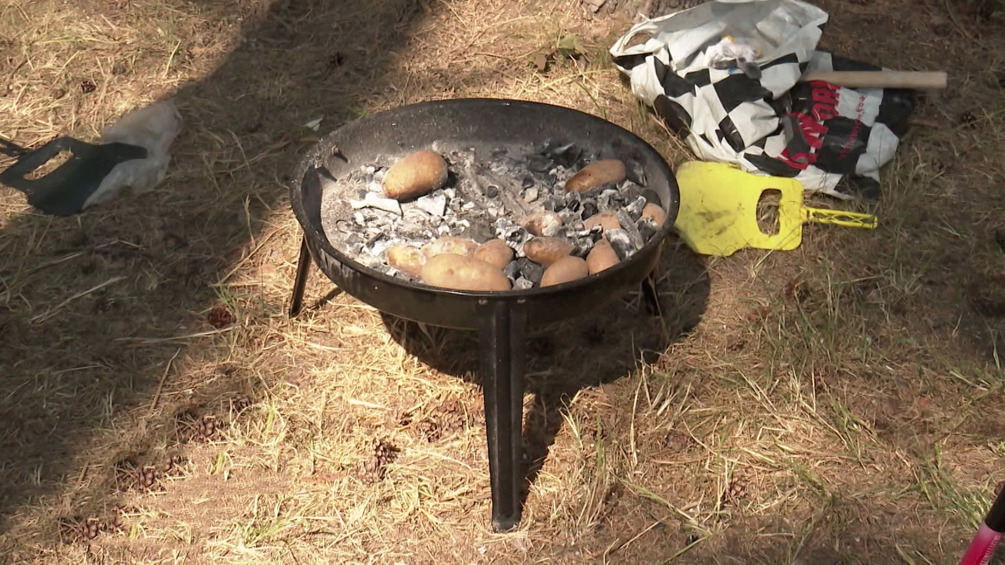 В Калининградской области борются с шашлыками