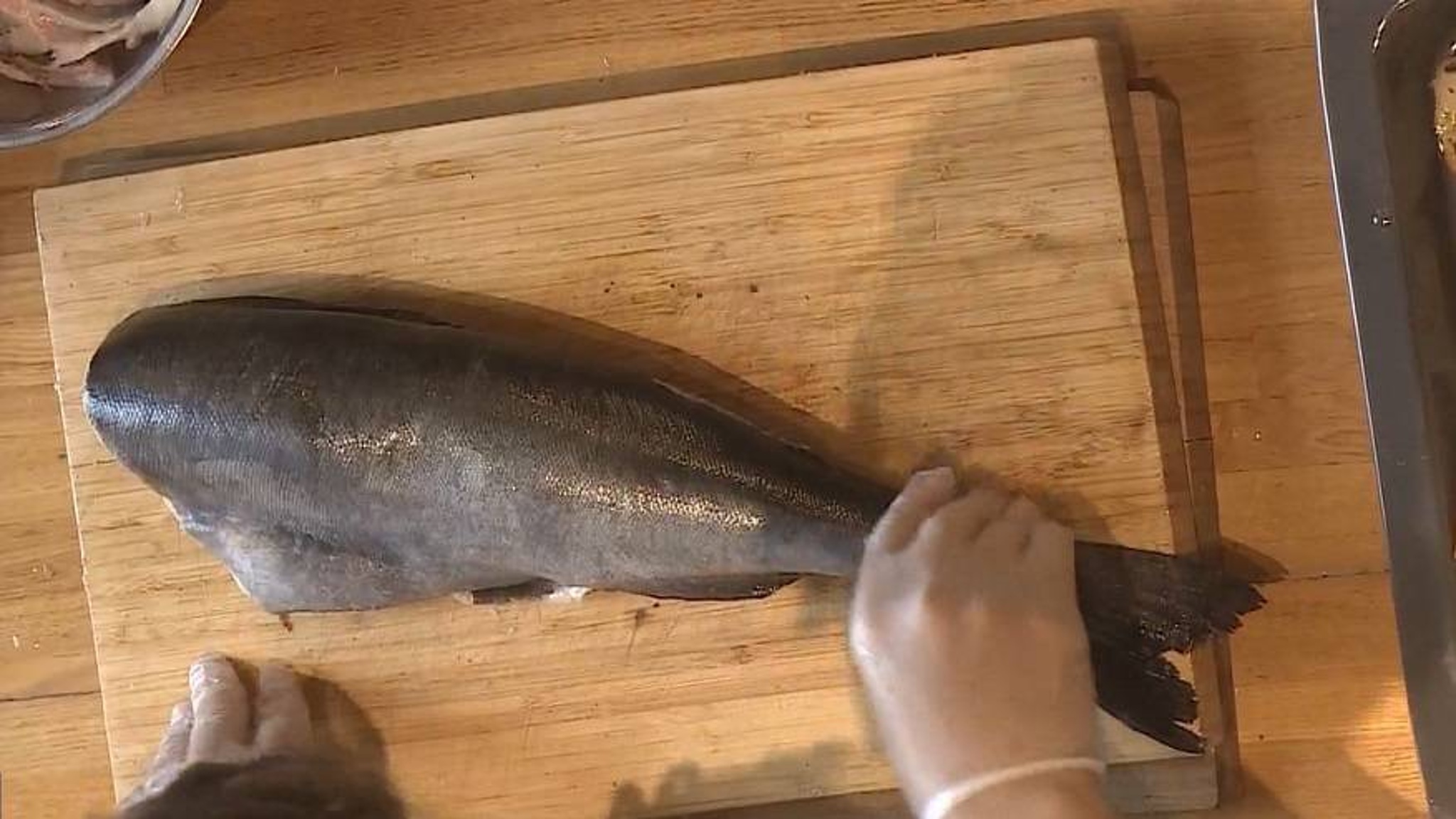 Распробовали и восхитились: деликатес из США мигрирует в воды Тихого океана