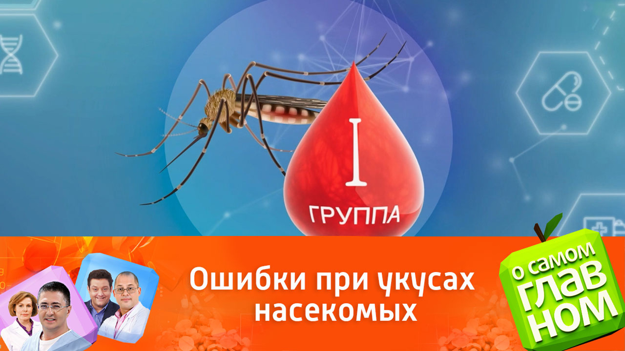Укусы насекомых: что важно знать