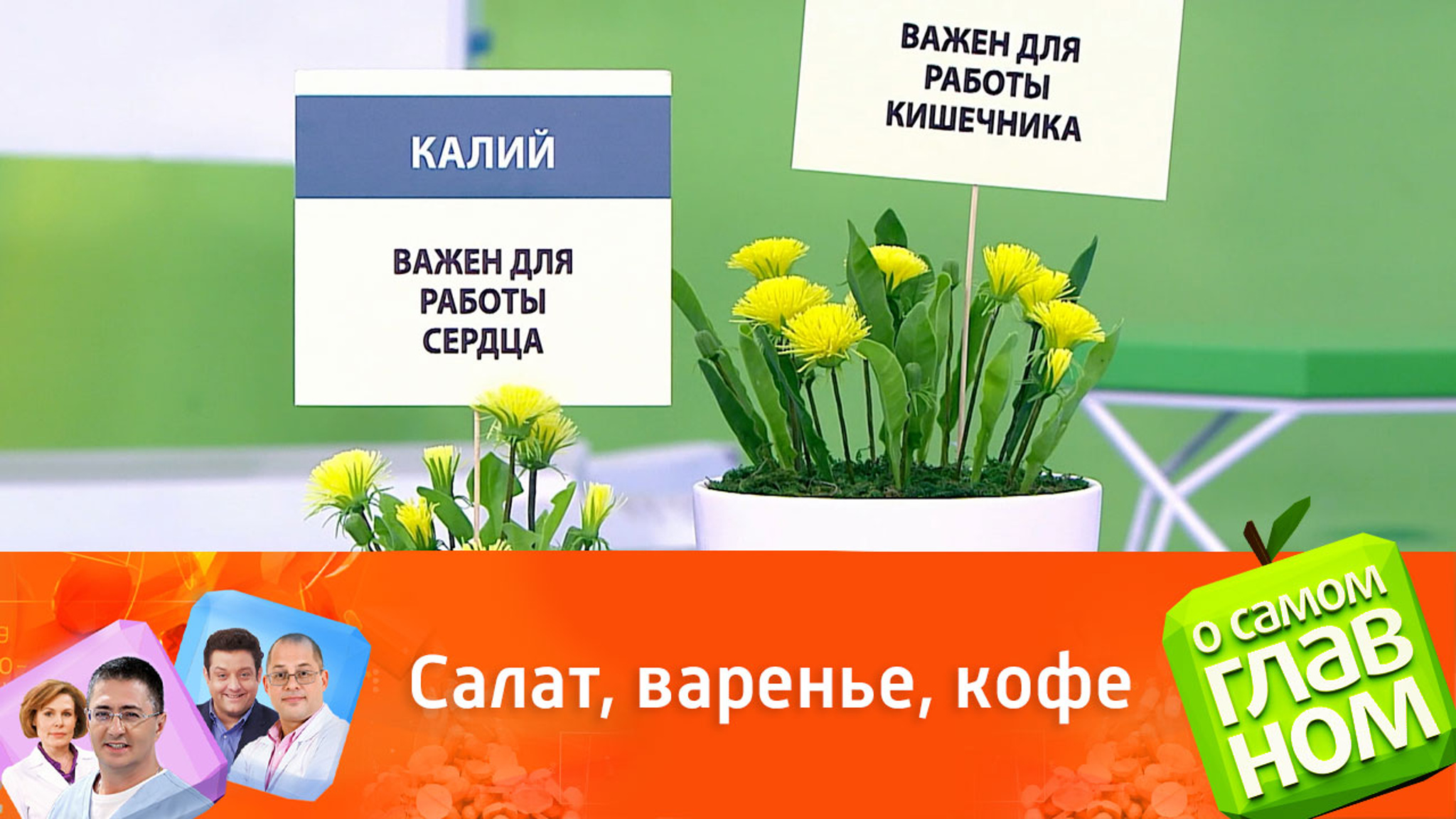 Стоит ли есть одуванчики