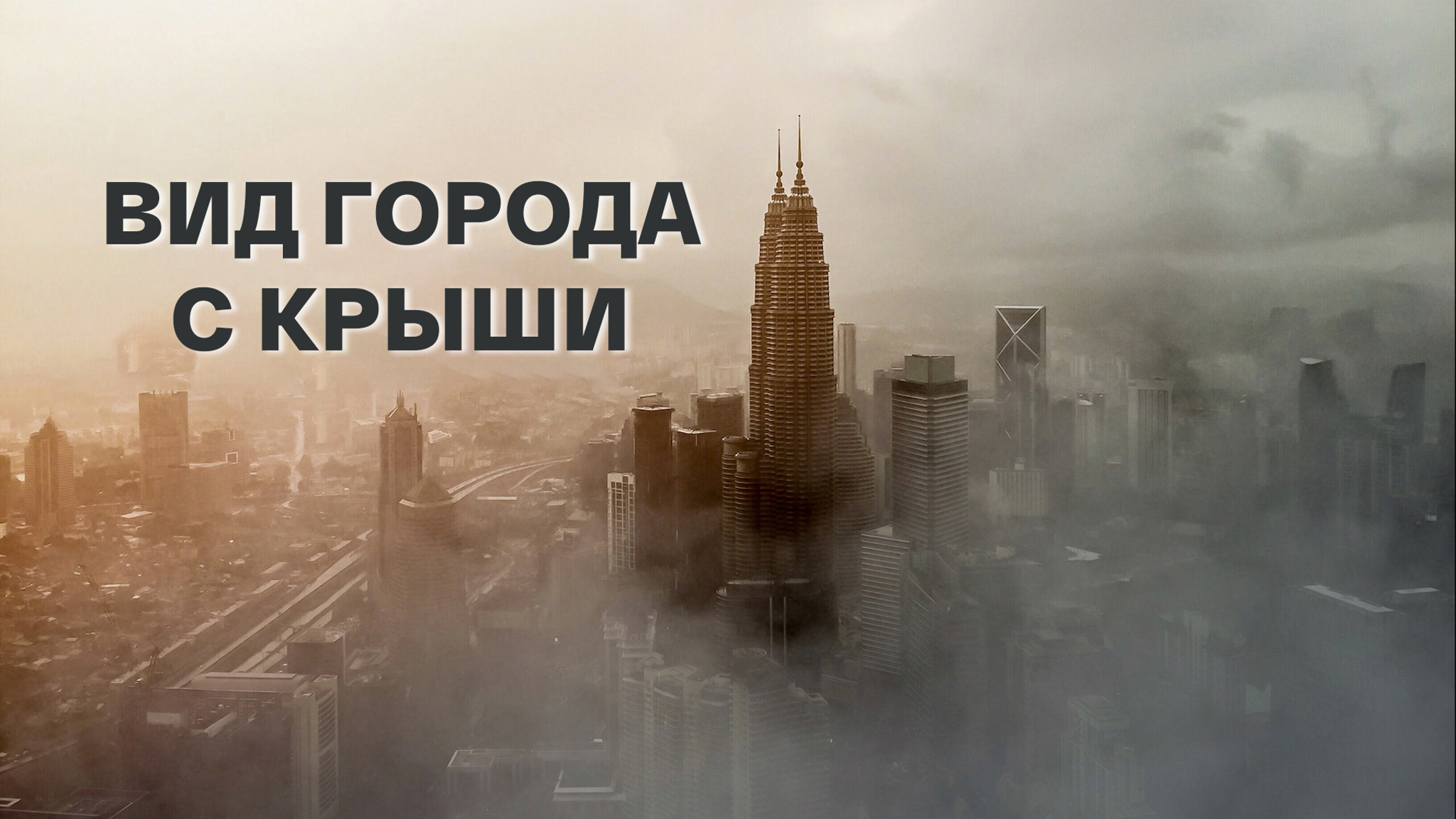 Виллис Ларю. Вид города с крыши