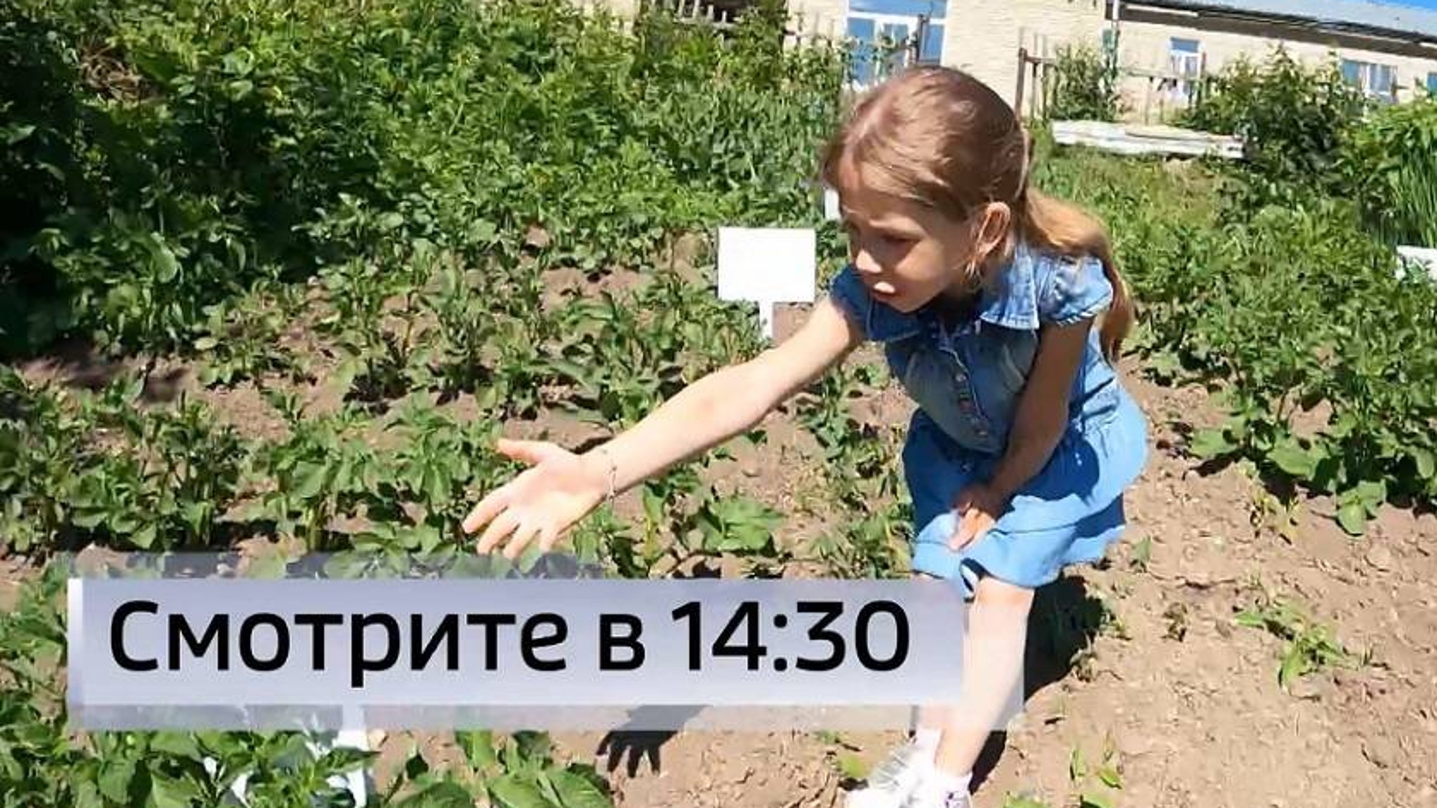 Юные агрономы постигают азы науки о земледелии