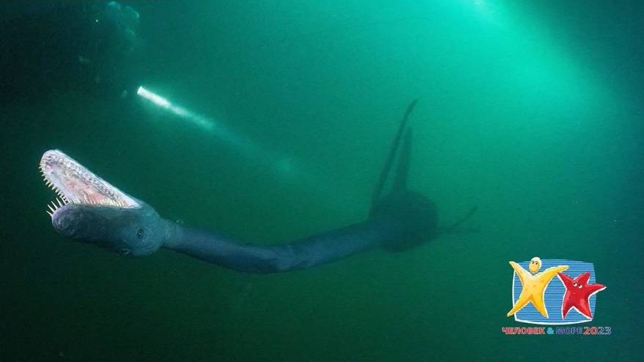 Завершается прием заявок на телефестиваль «Человек и море»