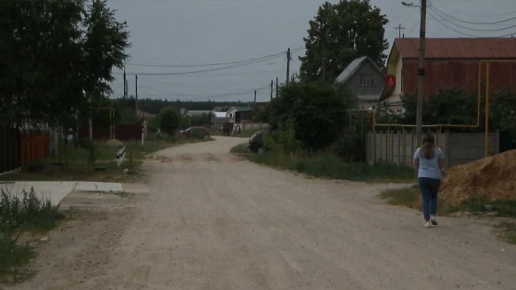 Собака покусала 9-летнюю девочку в Волжске: подробности происшествия и последствия