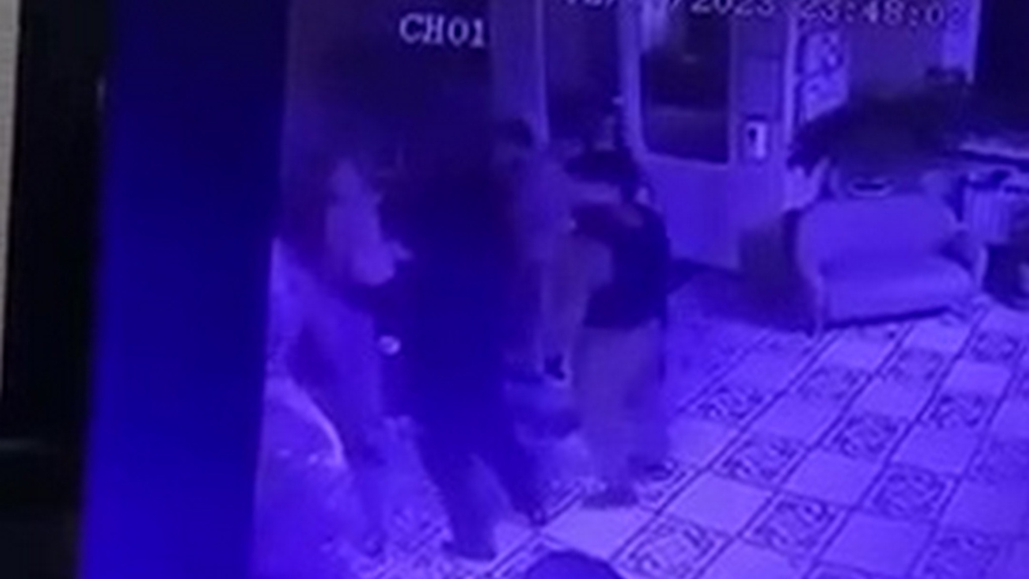 Камера зафиксировала нападение ГБР на артистов цирка в Перми
