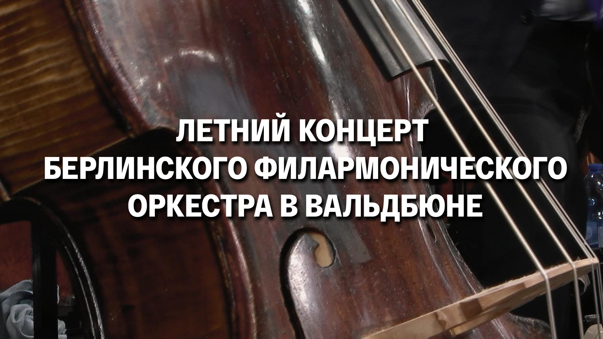 Летний концерт Берлинского филармонического оркестра в Вальдбюне