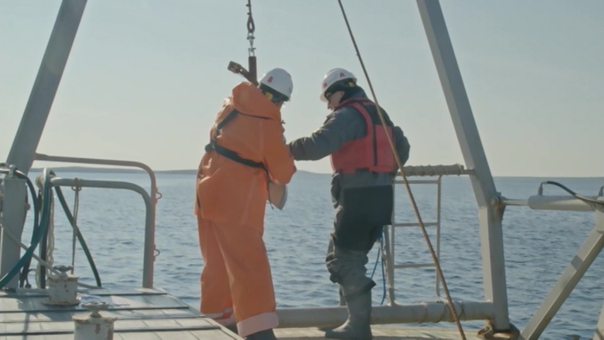 Российские ученые изучат изменения экосистемы Белого моря
