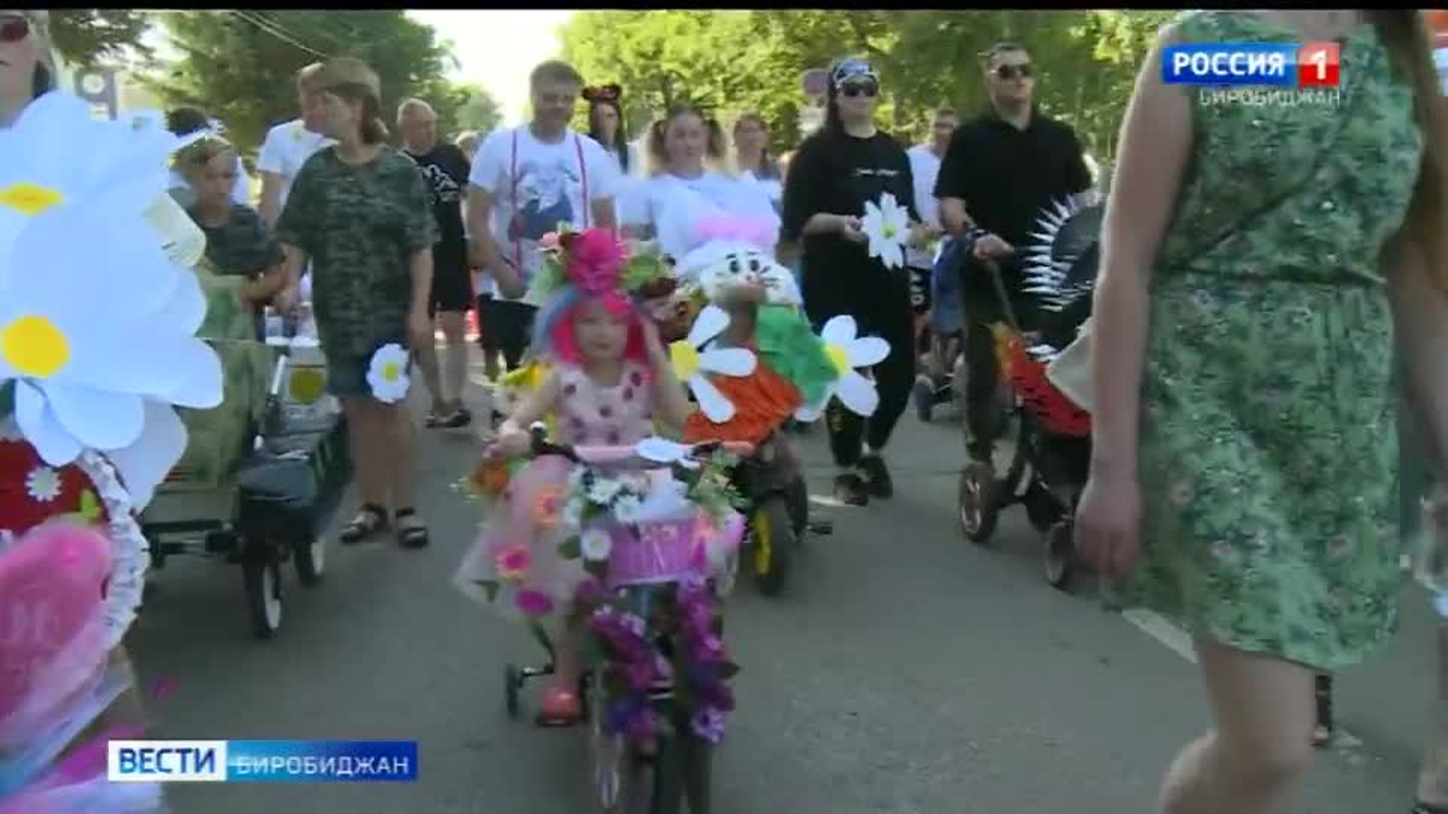 Парад семей и колясок провели в Биробиджане