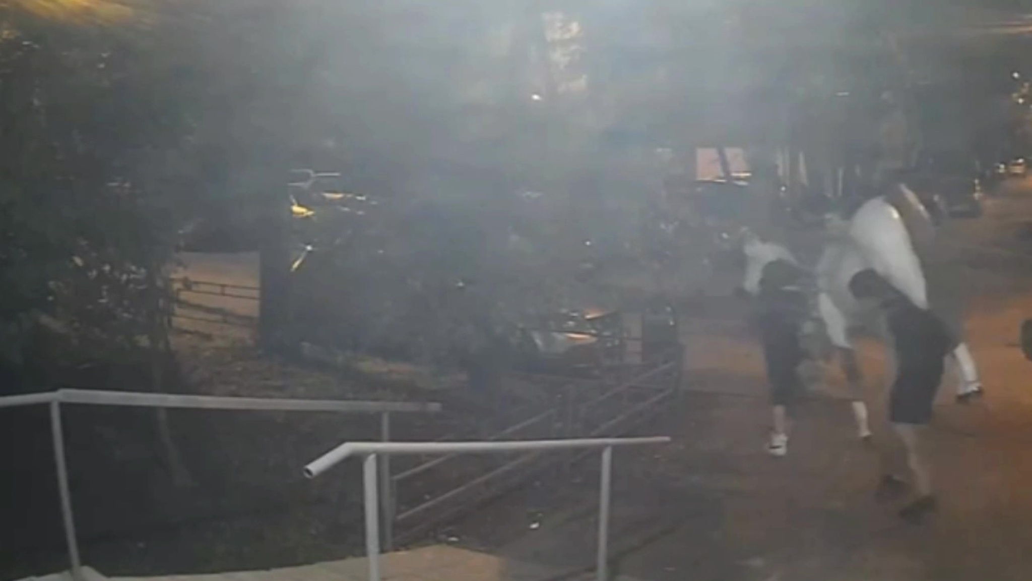 Приезжие утащили массивную скульптуру лошади на юге Москвы