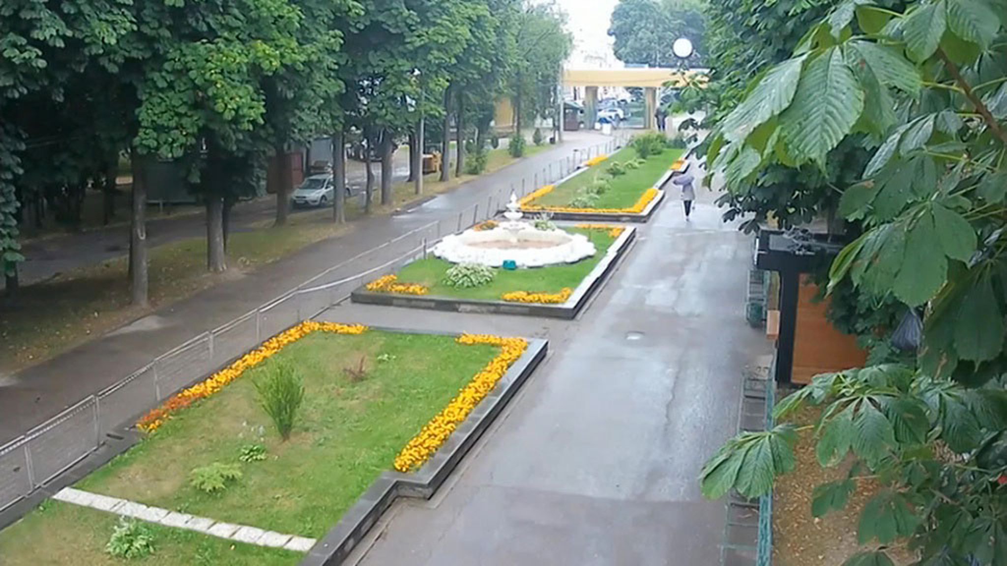 Мощный грозовой фронт прошел через Смоленск