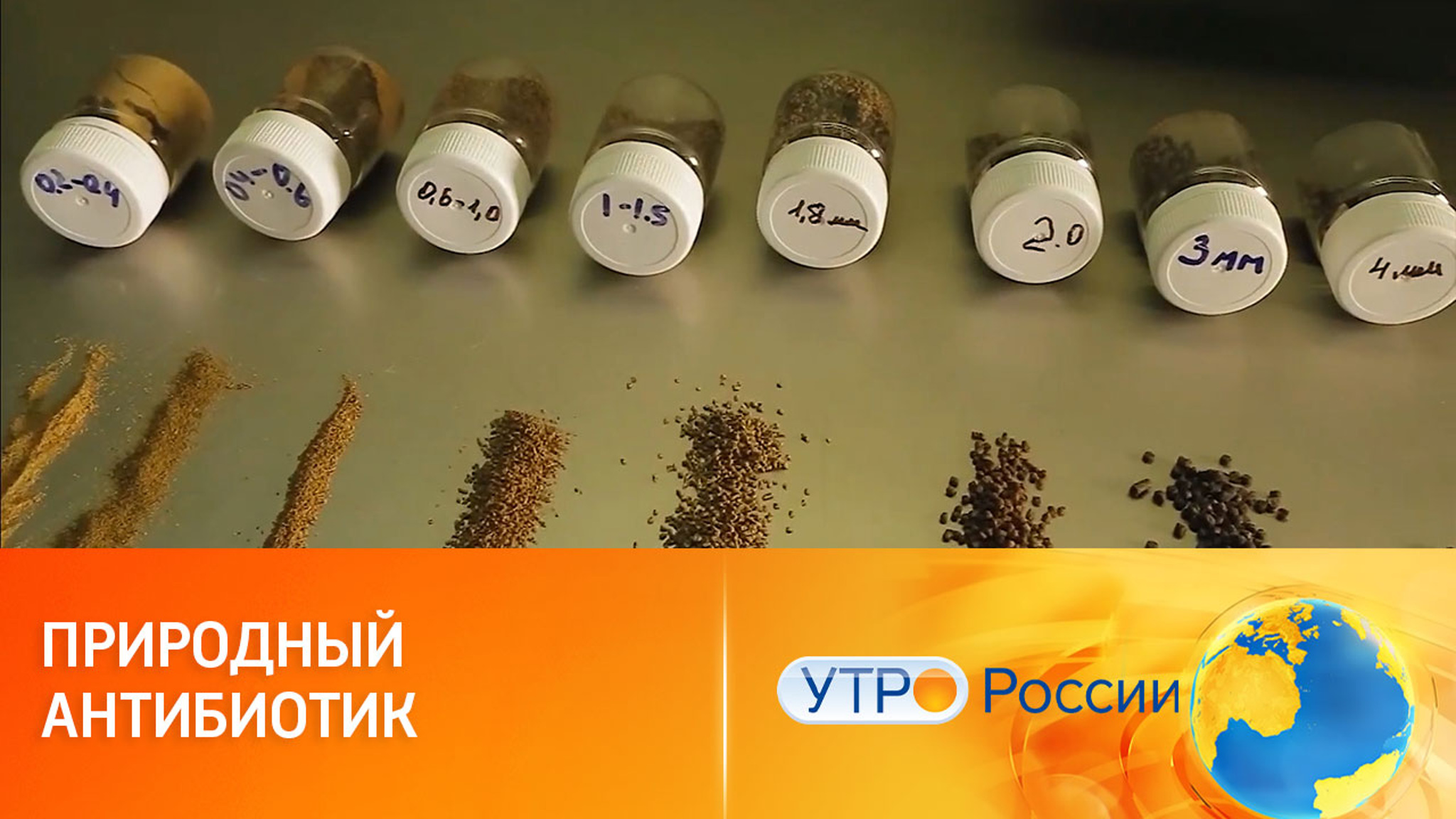 Препараты из черной львинки