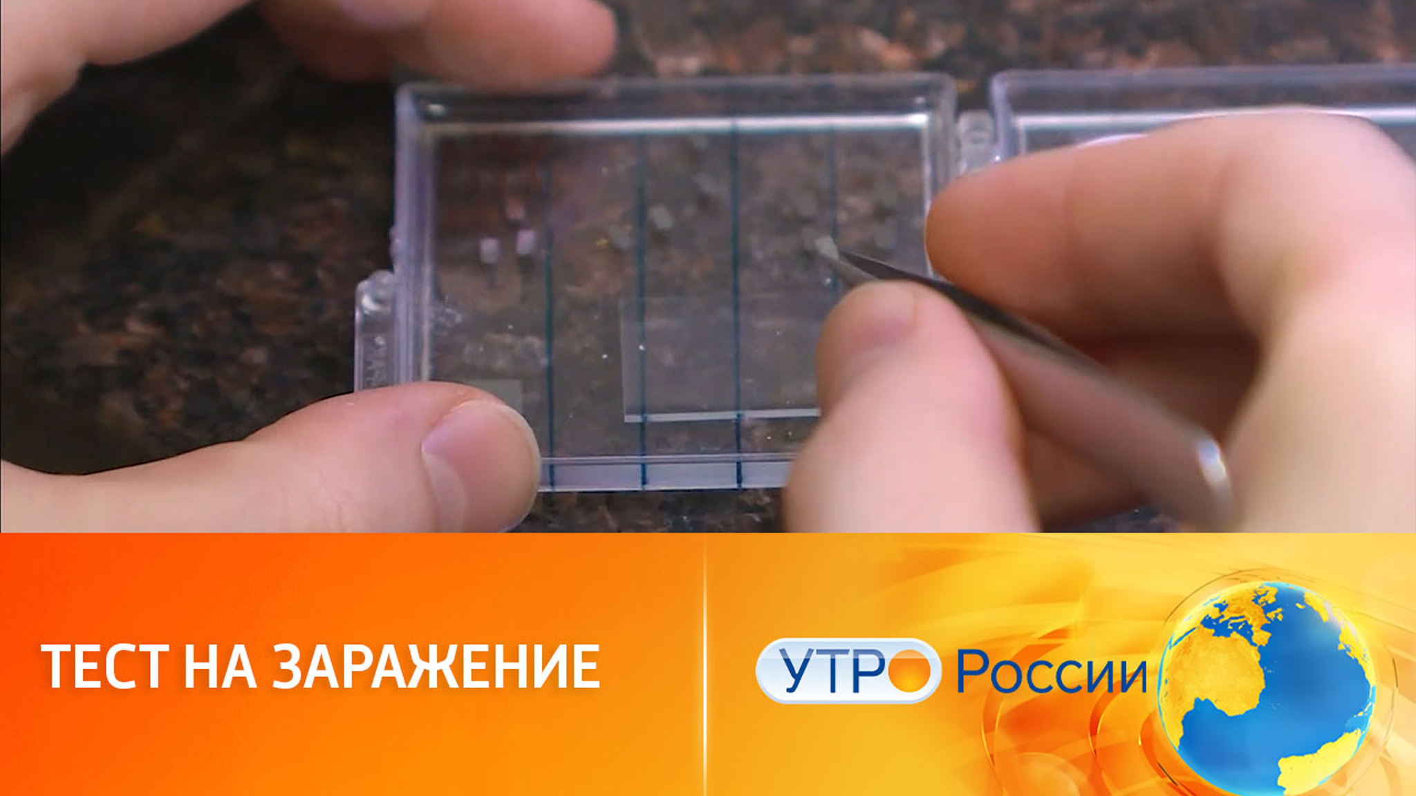 Сенсор на основе графена обнаружит следы плесени в продуктах