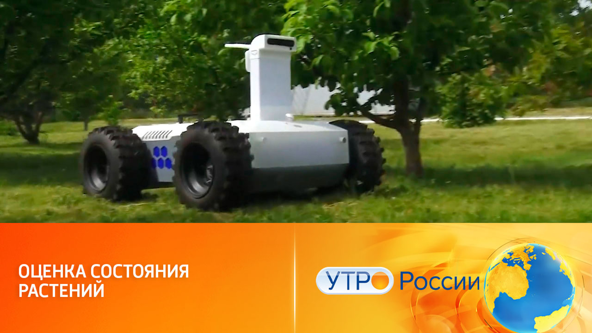 Роботы-агрономы