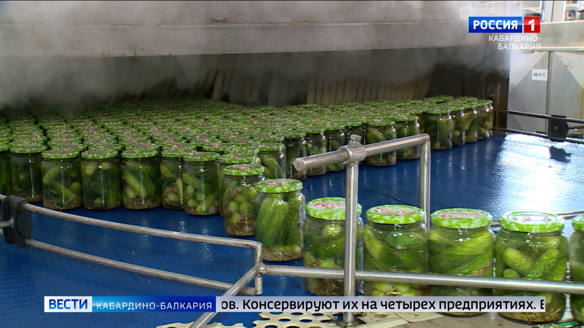 Консервные заводы КБР выпустили первые 20 млн. банок огурцов