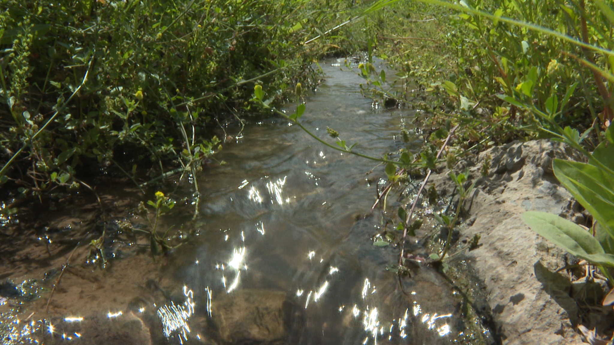 "Концессии водоснабжения" пообещали избавить юг Волгограда от многолетней коммунальной аварии