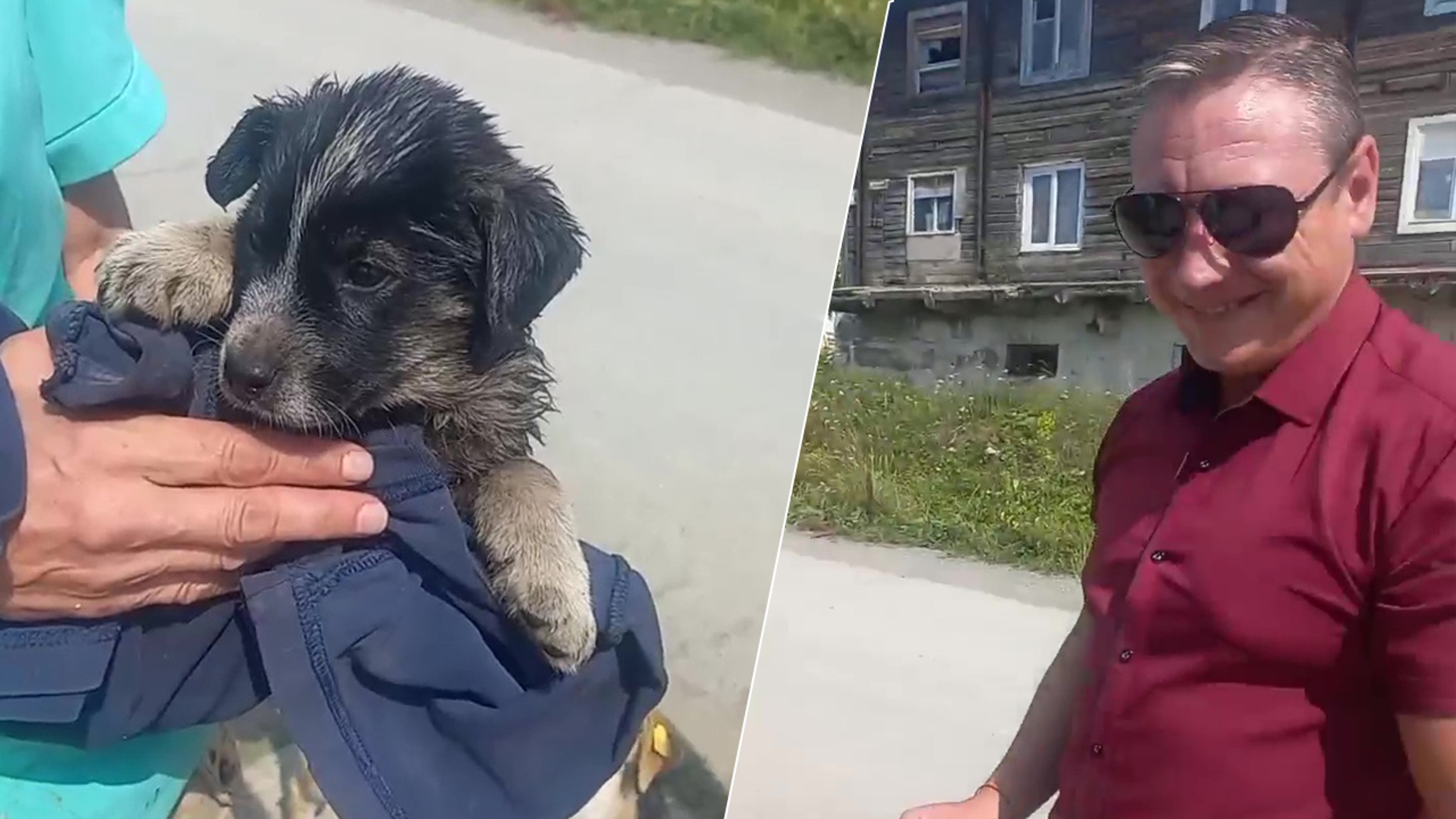 В Челябинской области полицейские вытащили из лужи с гудроном щенка