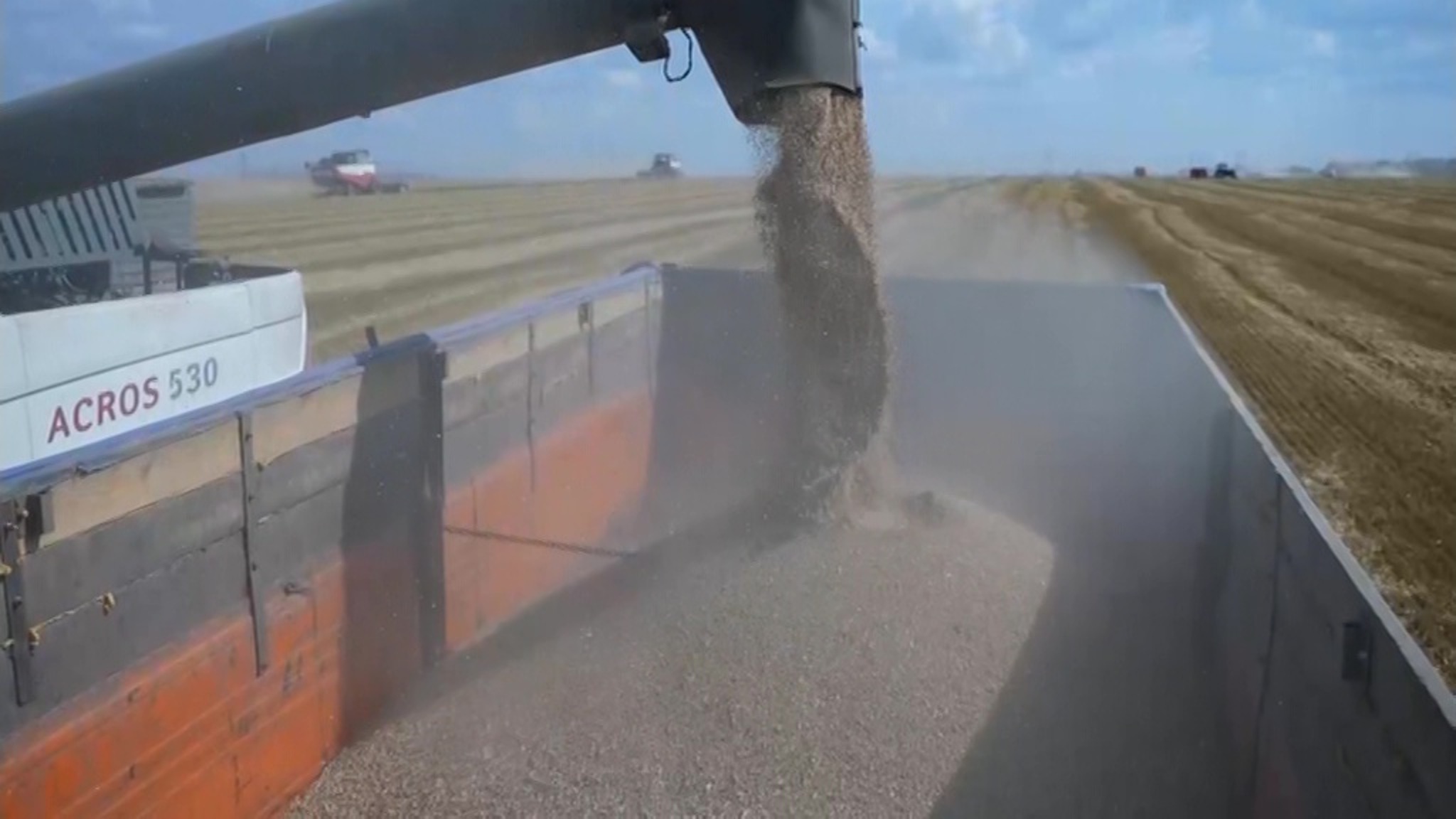 На Кубани в самом разгаре уборка урожая