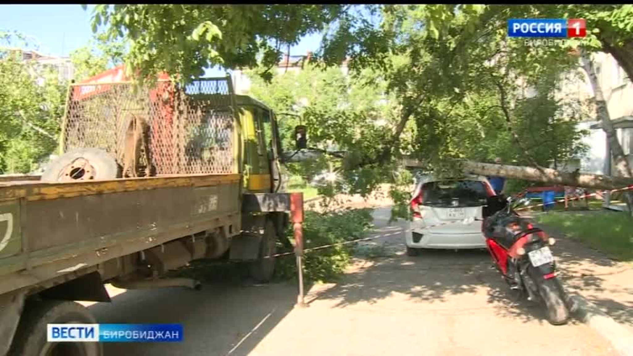Упавшее дерево на улице Широкой повредило автомобили биробиджанцев