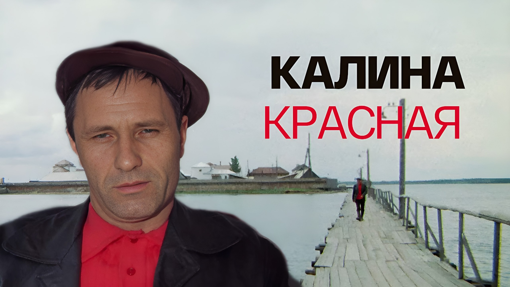Калина красная