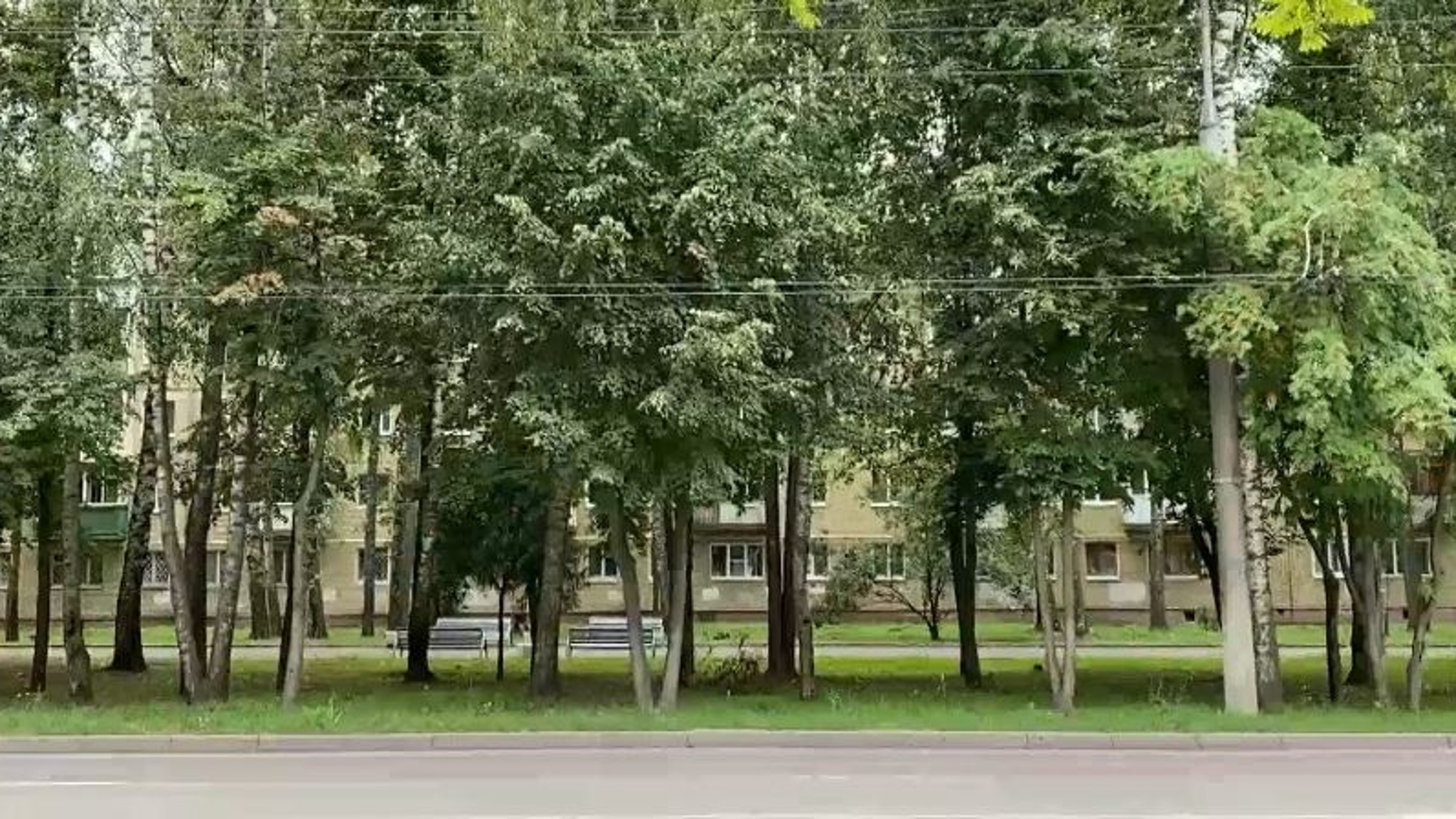 Последствия урагана в Йошкар-Оле устранят к концу недели