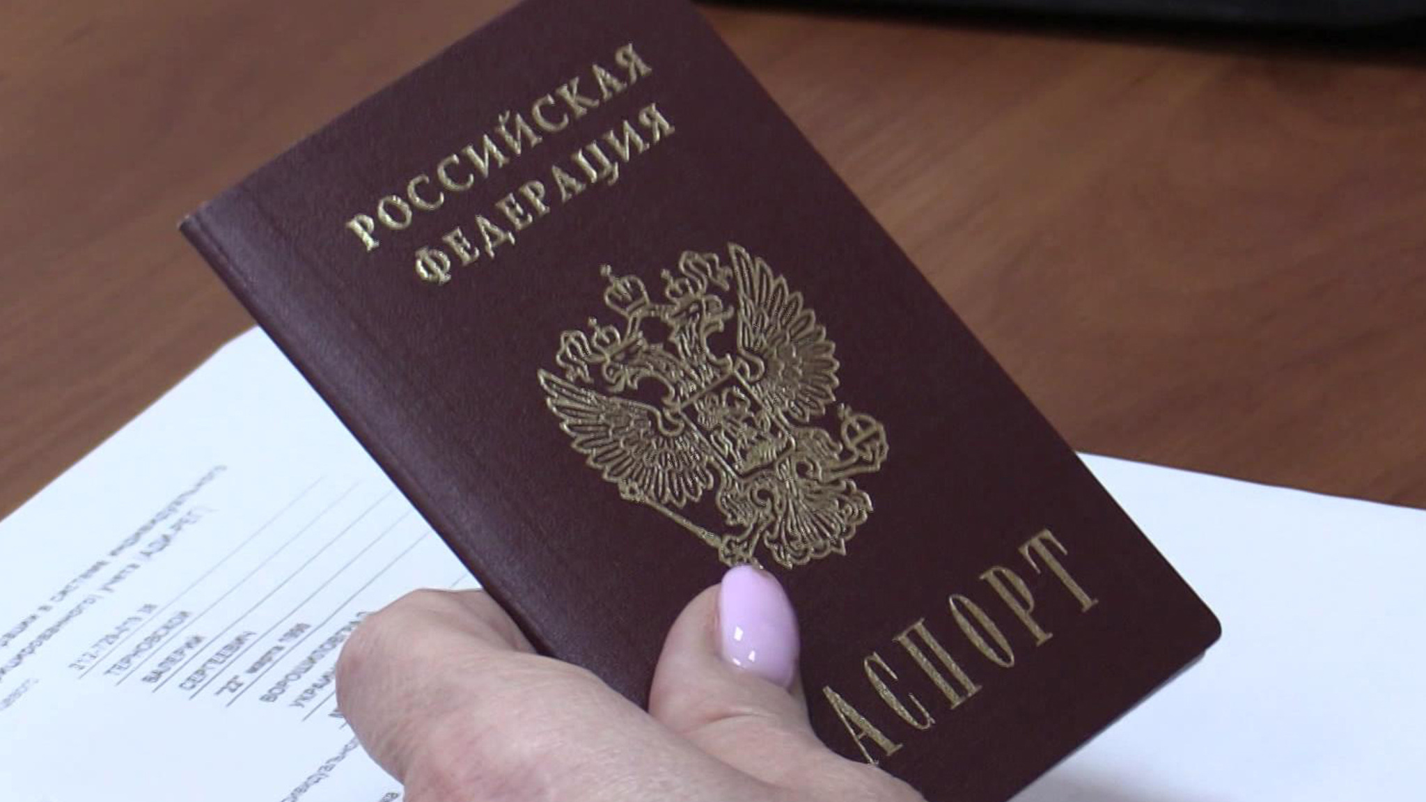 За 7 месяцев Социальный фонд стал крупнейшим институтом господдержки