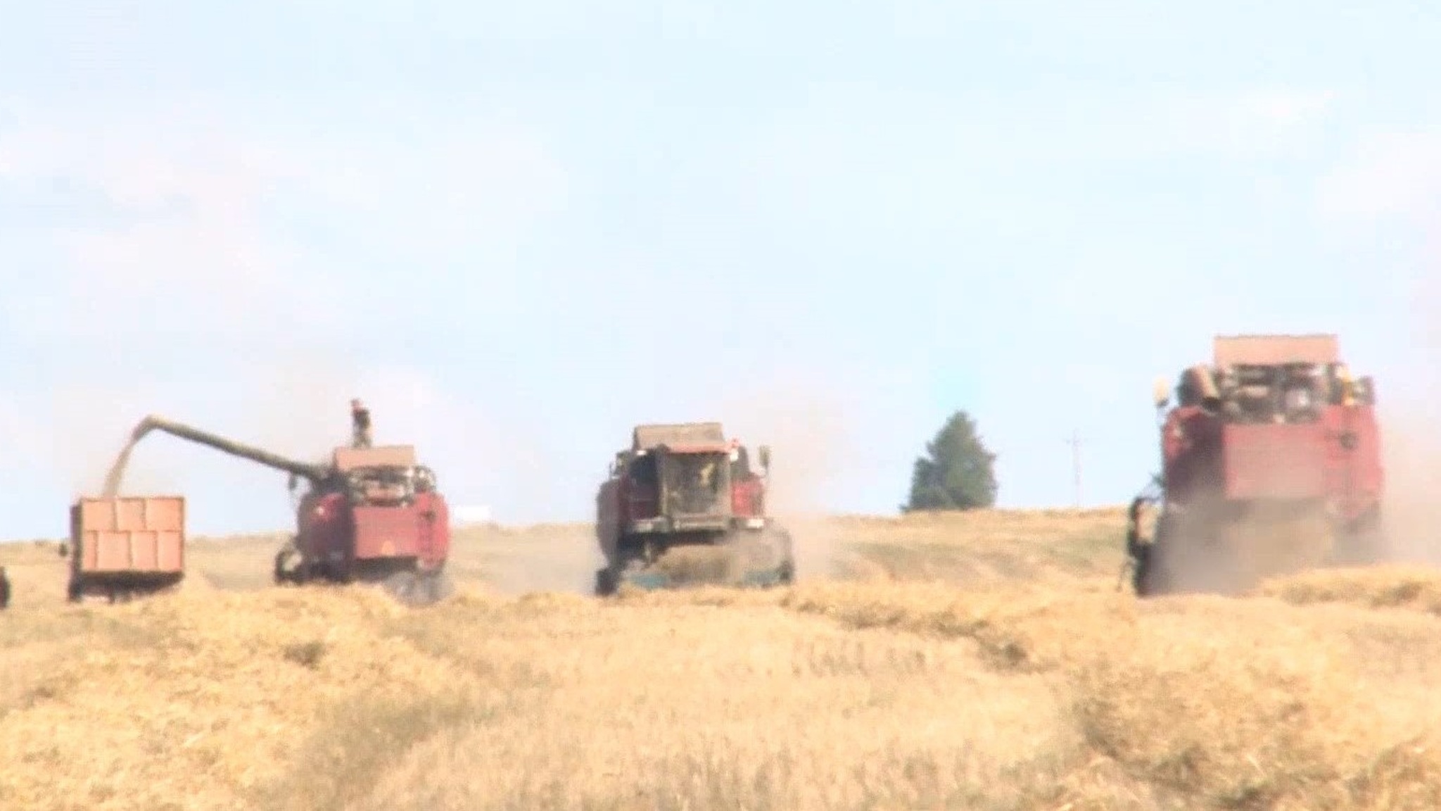 Аграрии Моркинского района собирают урожай зерновых