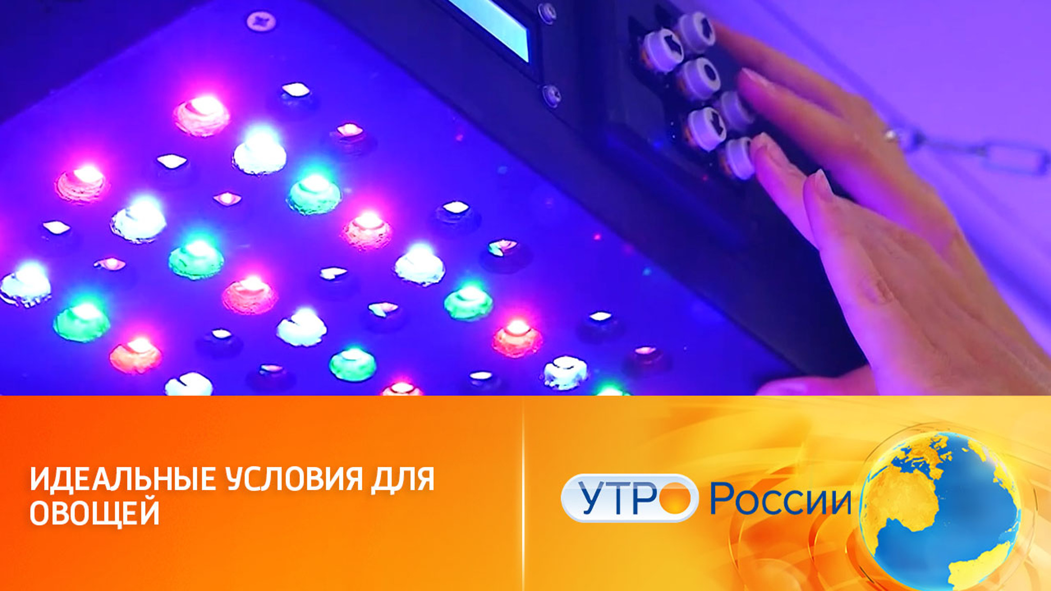 Фитосвет