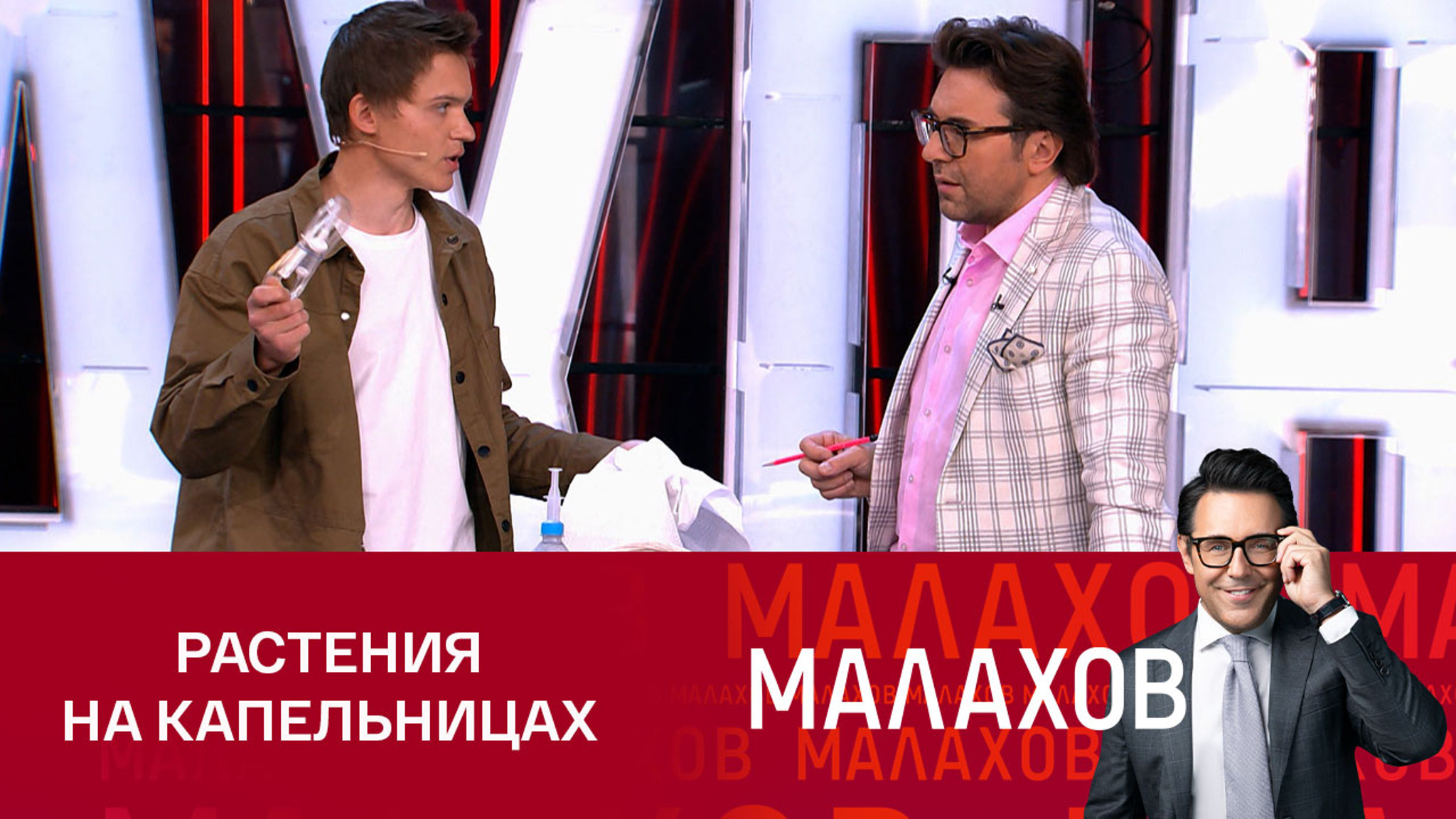 Блогер поделился, как спасти домашние цветы от засухи