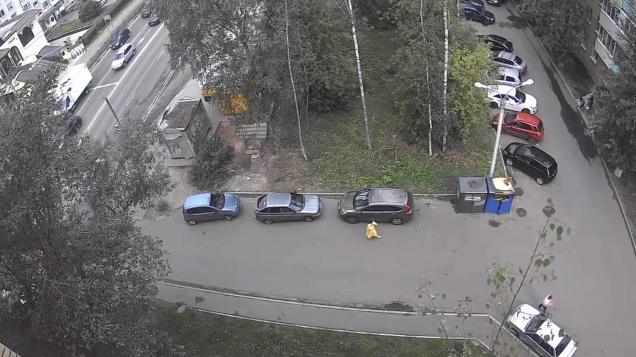 Появилось видео взрыва в Подмосковье