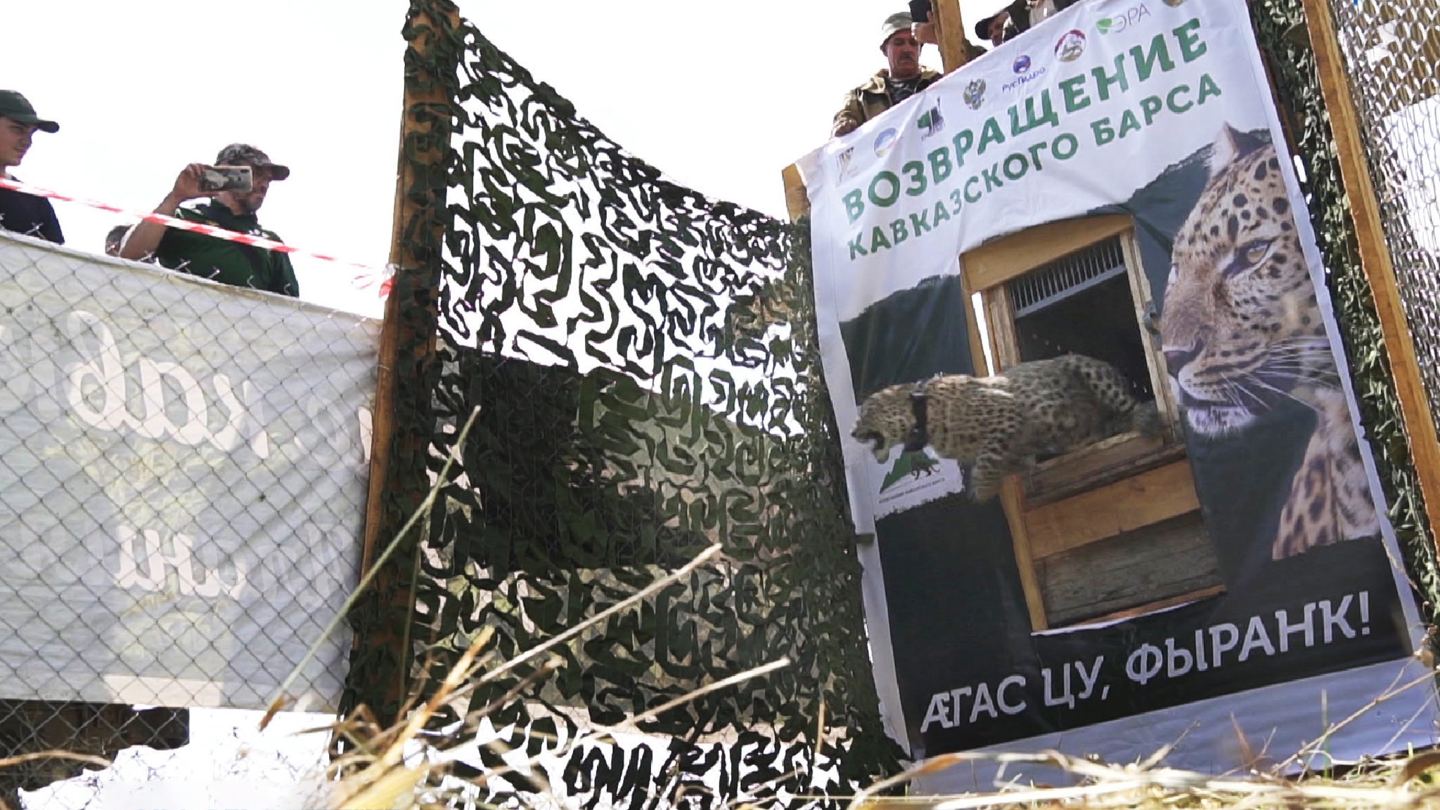Ноджыдæр ма иу раззагазиаг леопарды рауагътой æрдзмæ