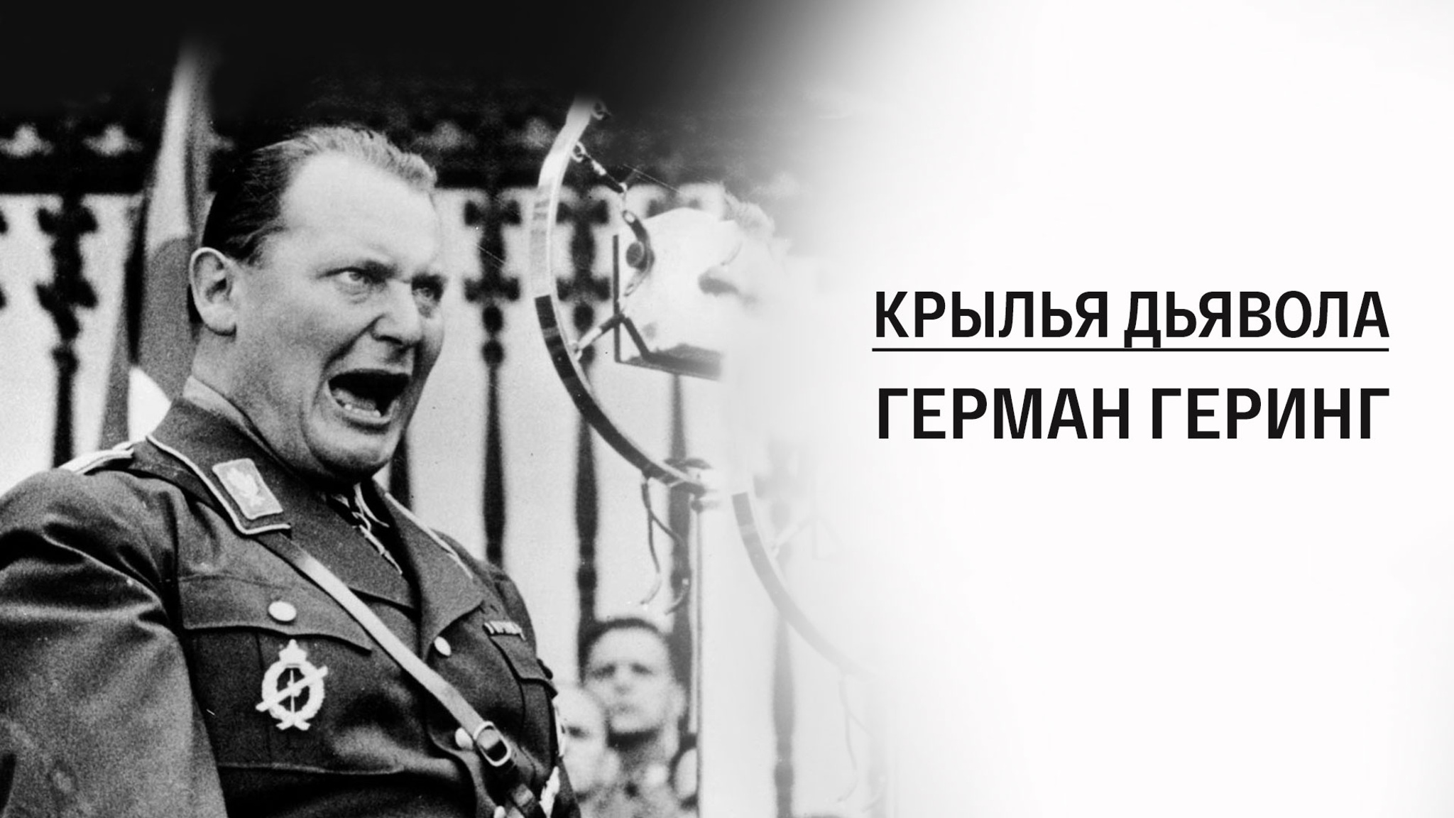 Крылья дьявола. Герман Геринг