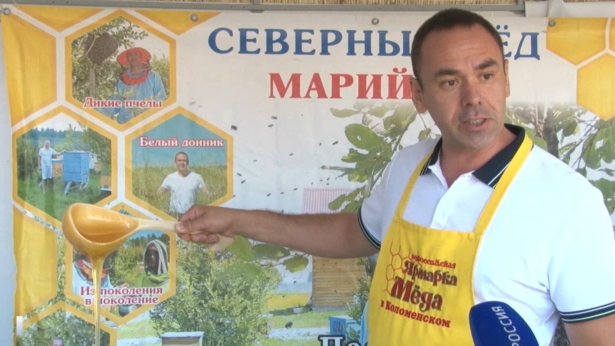 Сухое лето повлияло на урожай на пасеках Марий Эл