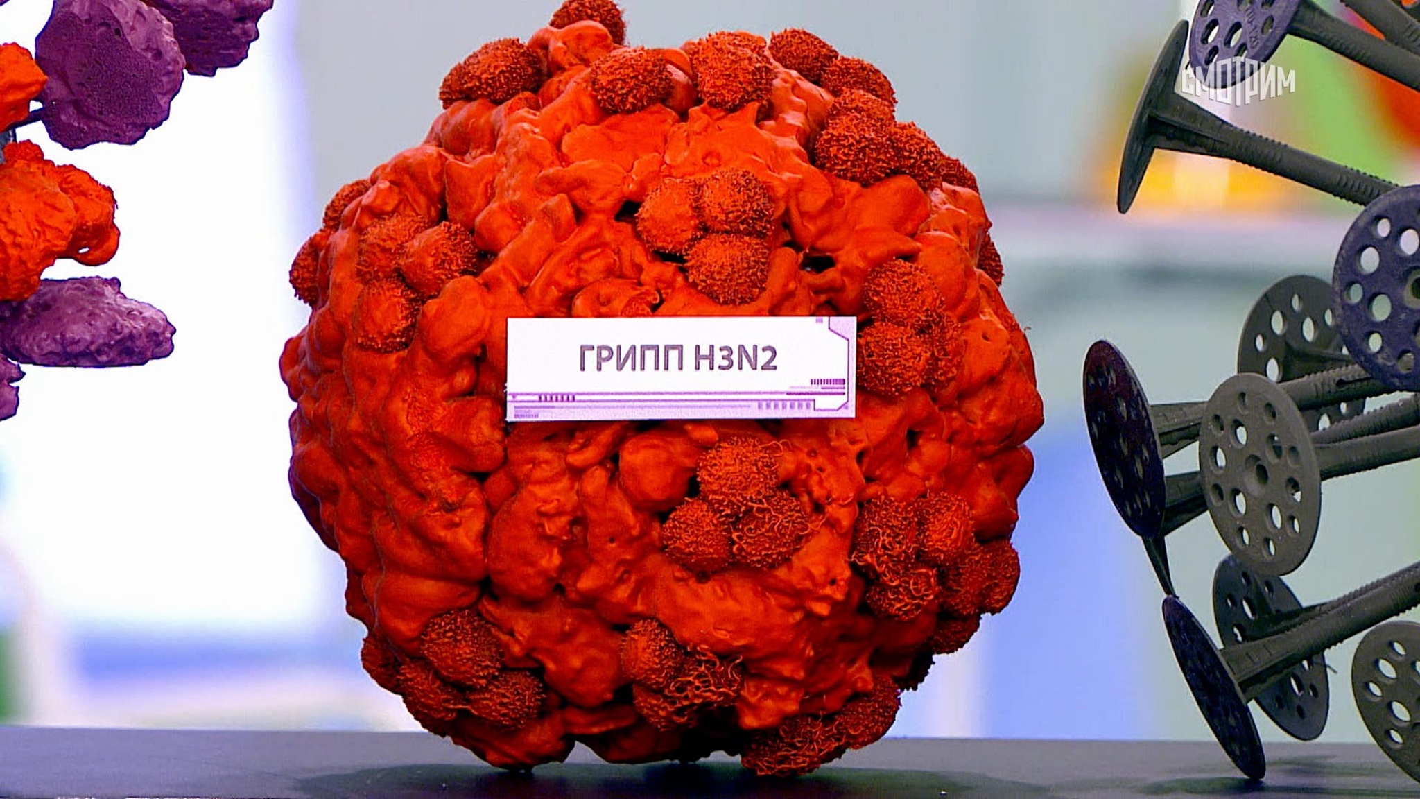 Доктор Мясников назвал три простых способа укрепить иммунитет