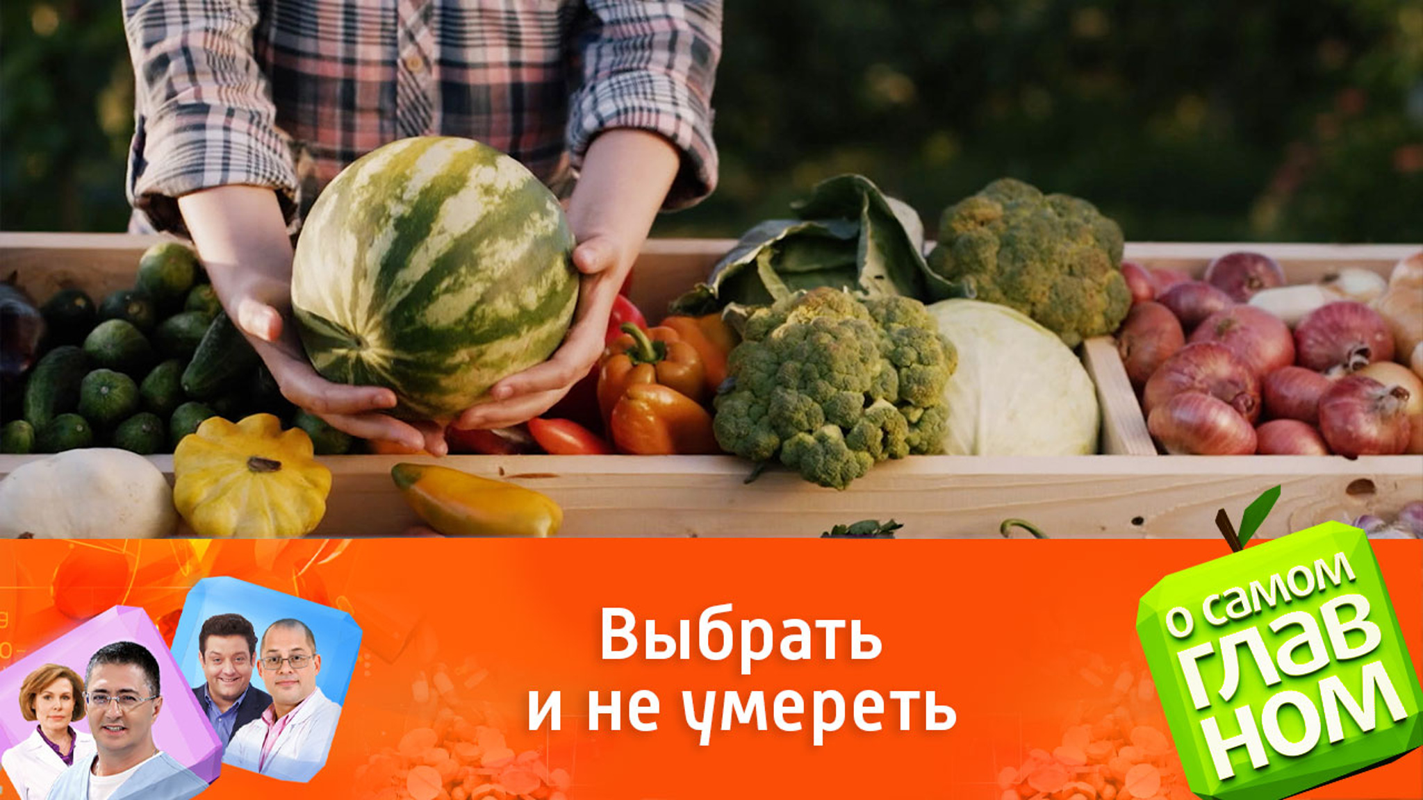 Причины отравления арбузами