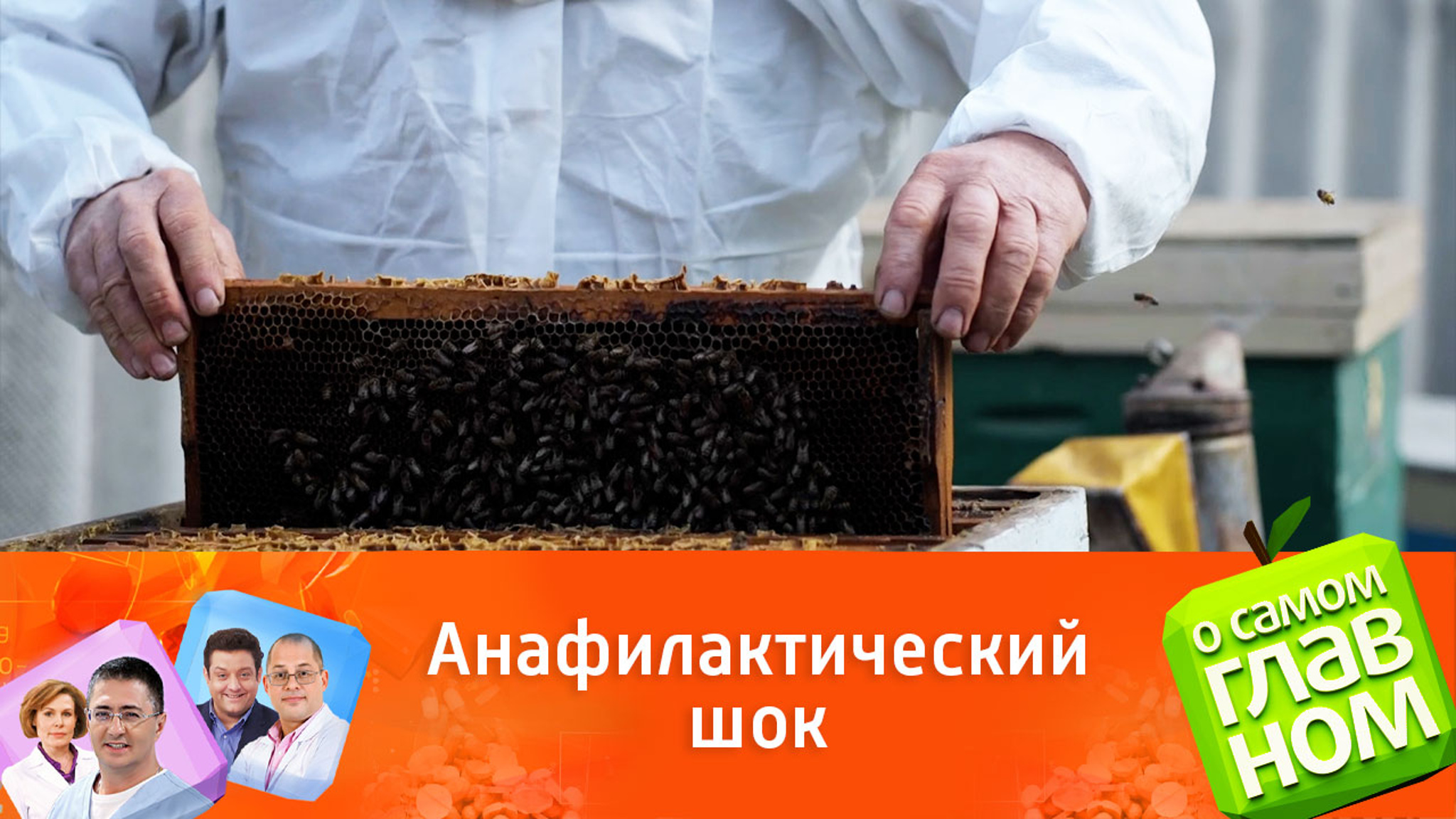 Чем опасна апитерапия