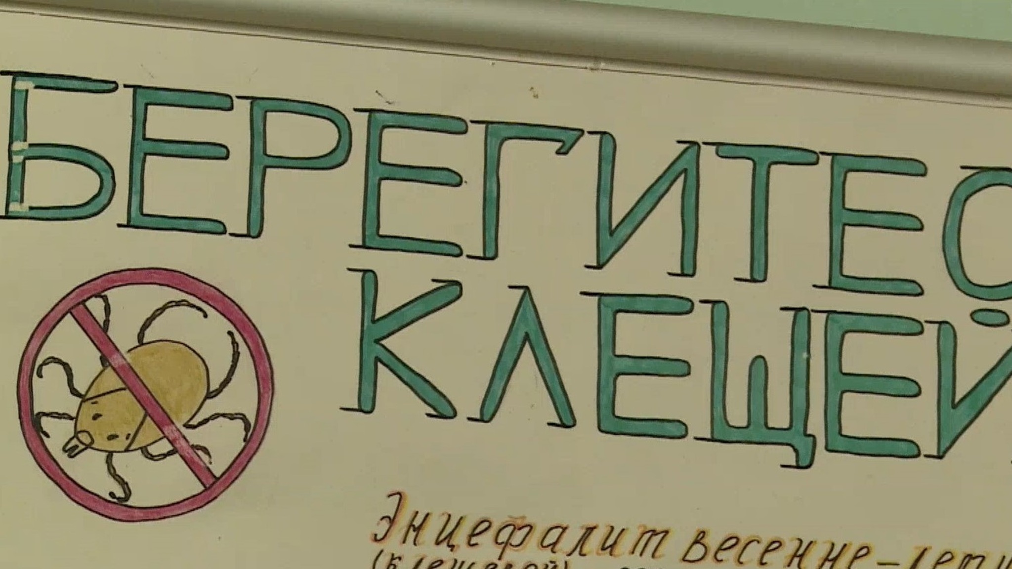 15 жителей Марий Эл пострадали от клещей за неделю