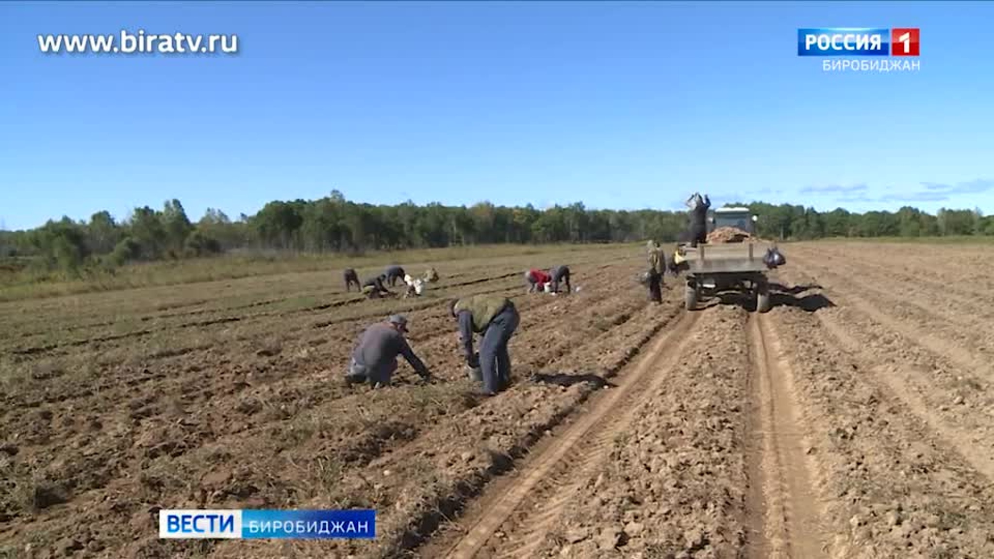 Сегодня в эфире "Радио России Биробиджан" (30 августа)