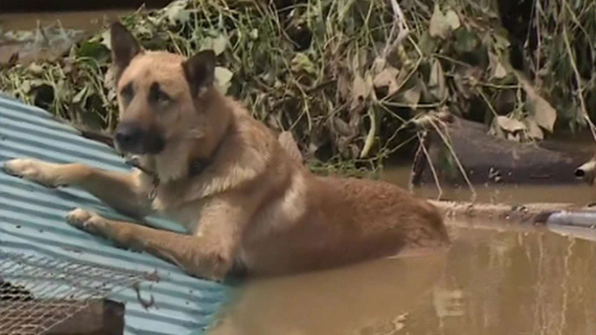 В Приморье за сутки выпала месячная норма осадков
