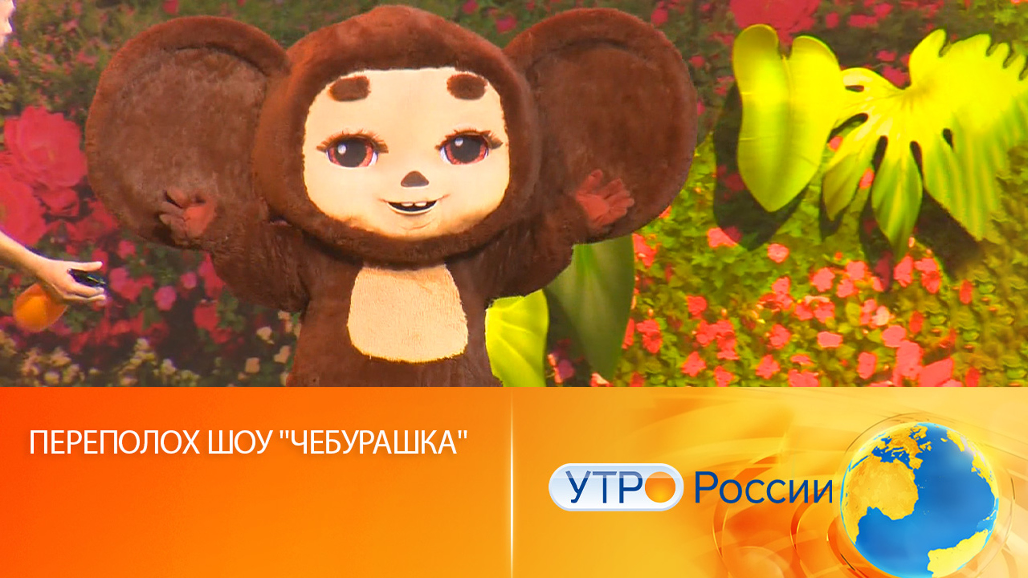 "Чебурашка" опять устроит шоу