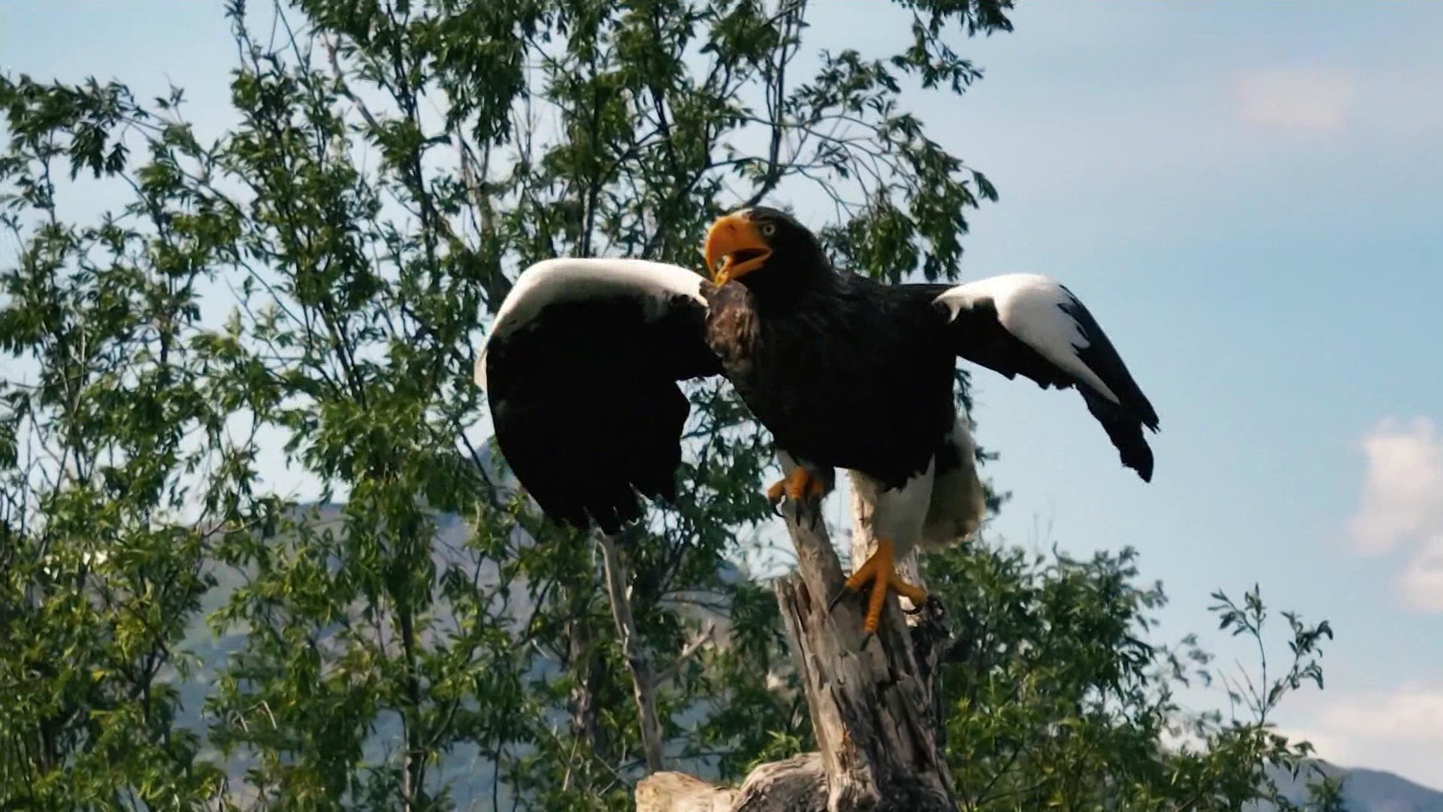 Развитие дальневосточных городов: какие задачи поставил Путин