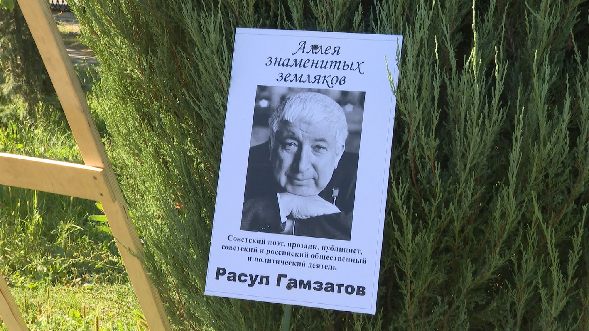 На Аллее знаменитых земляков в Волгограде высадили березку в память о поэте Расуле Гамзатове