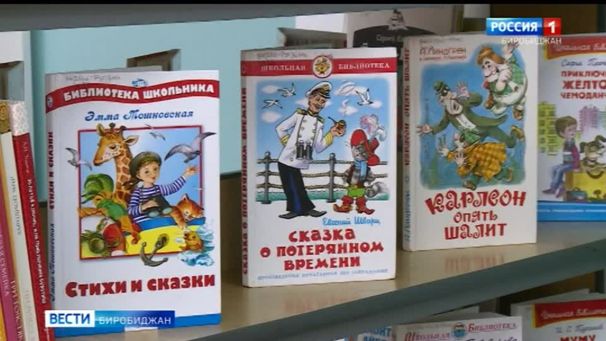 В Биробиджане готовится к открытию еще одна модельная библиотека