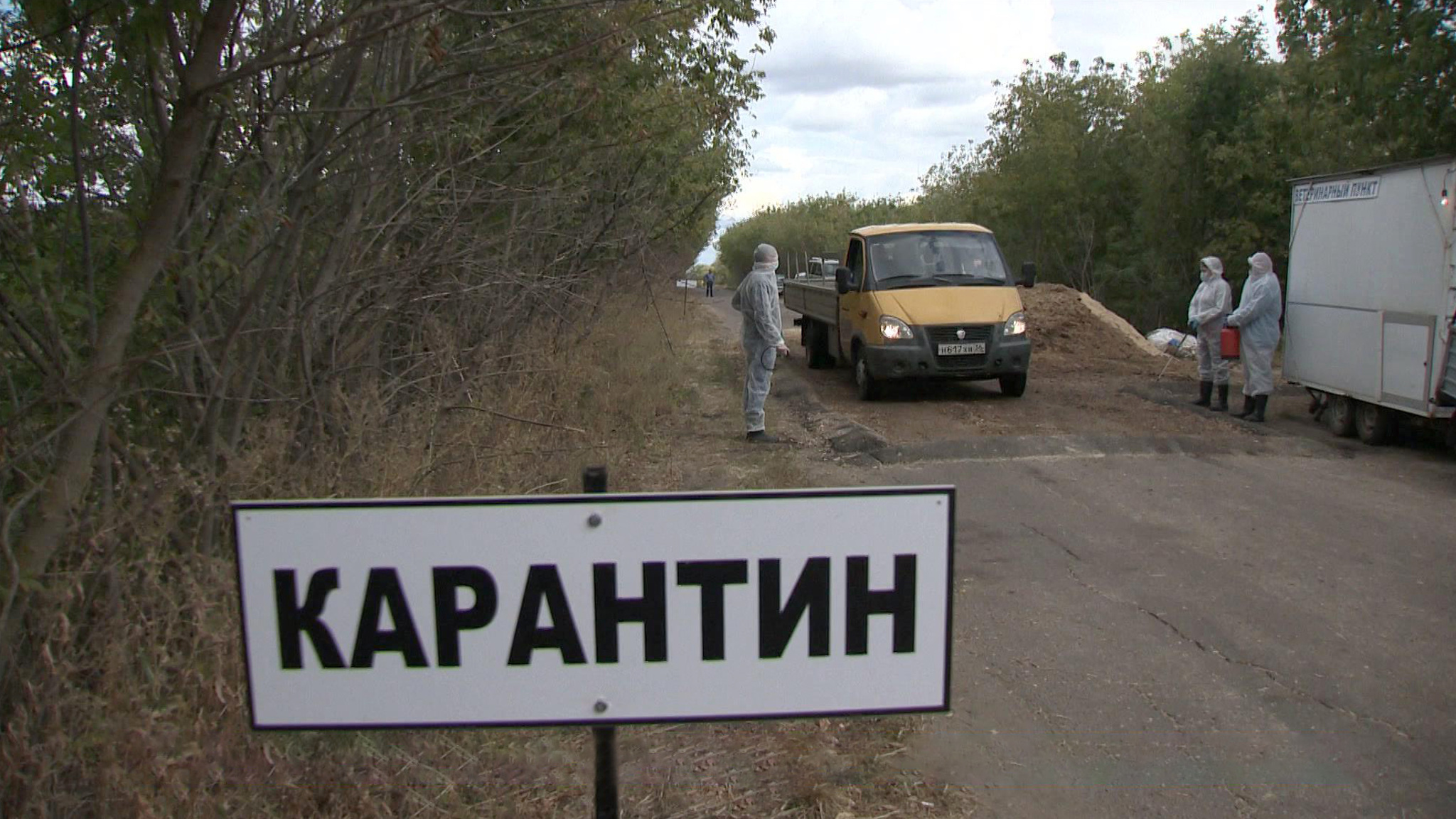В Воронежской области выявлены очаги сибирской язвы