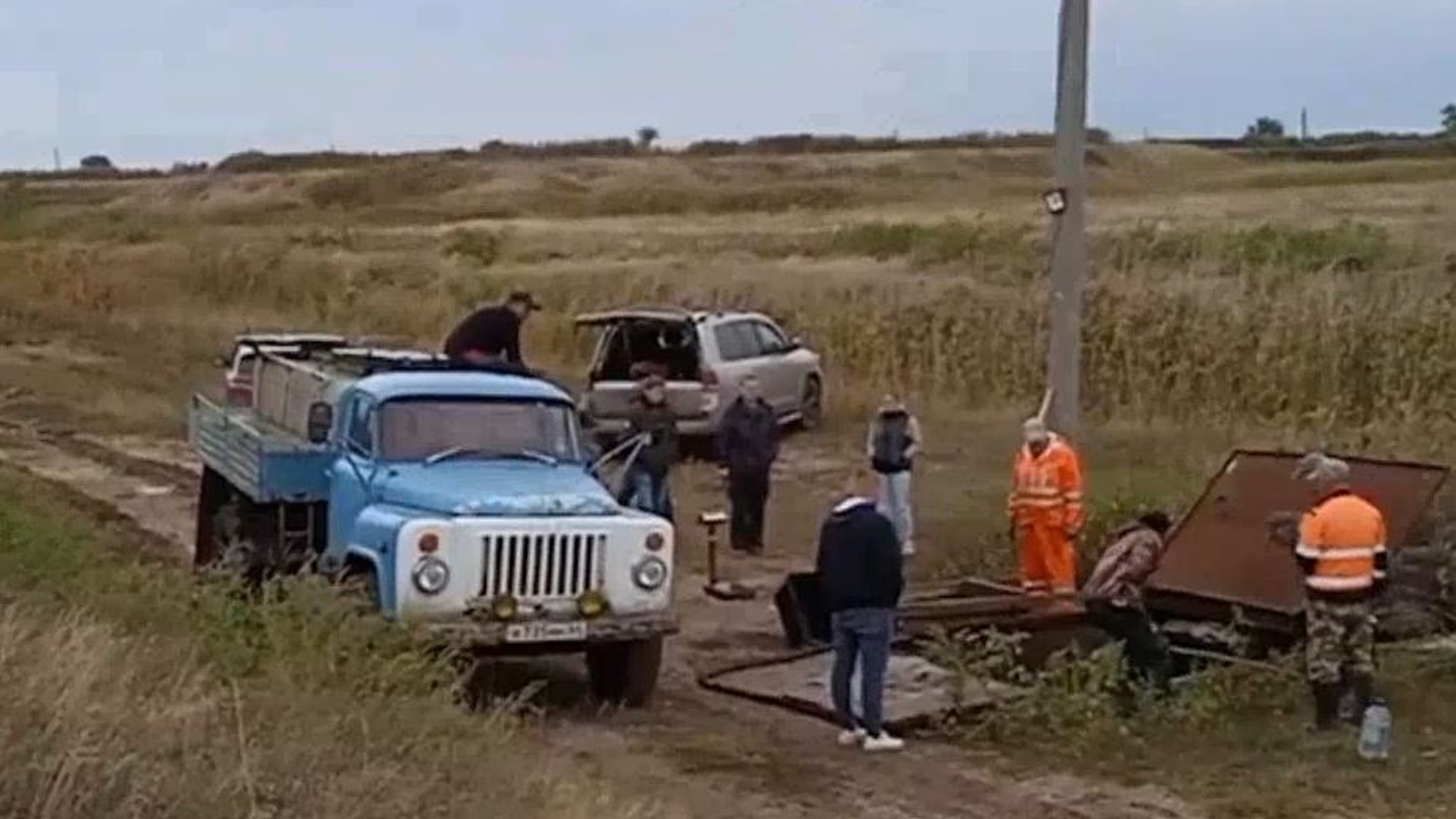 В Волгу начали выпускать мальков сазана для компенсации ущерба за магистраль в Йошкар-Оле